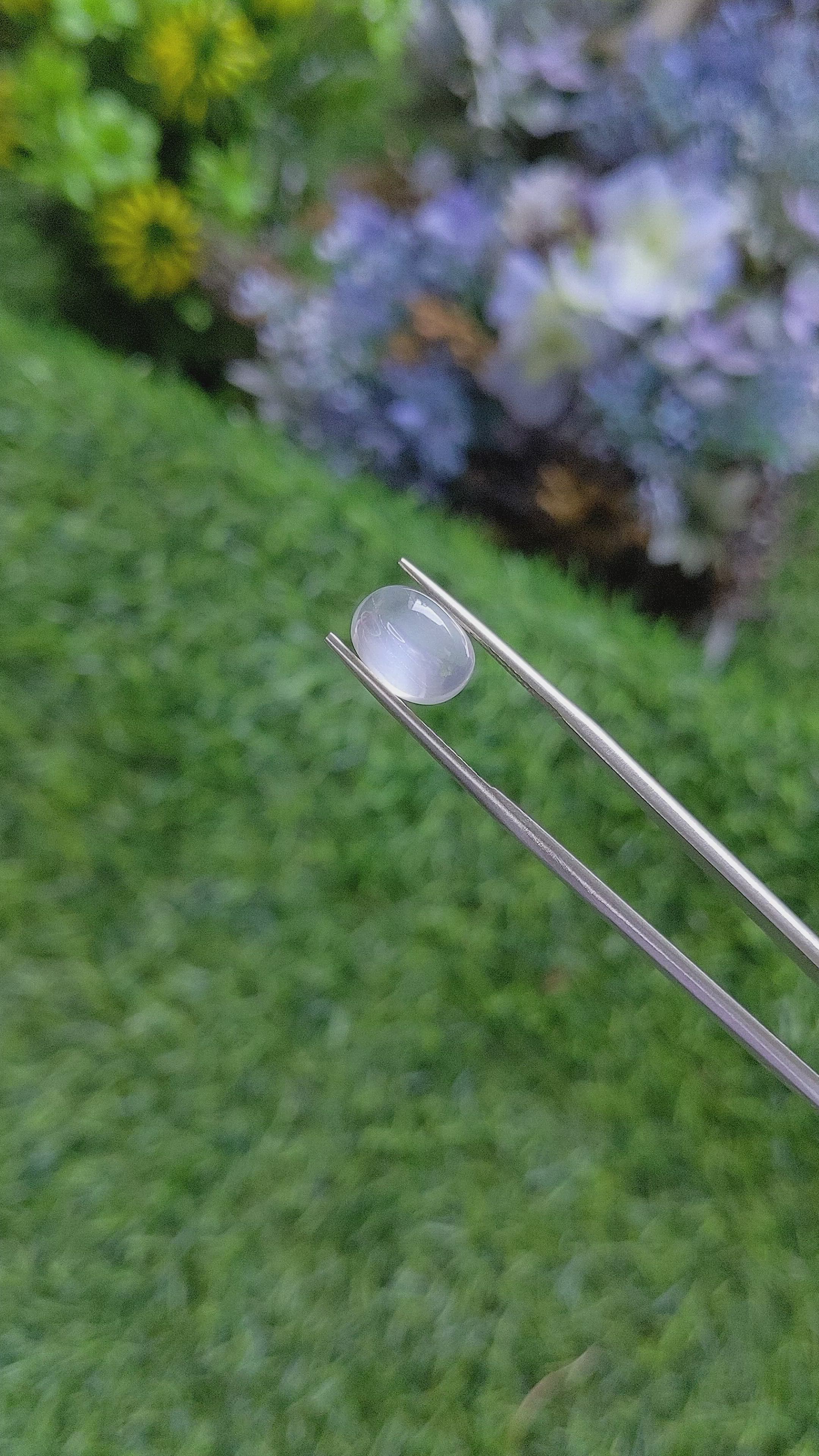 3.93 Ct. Cabochon Moonstone from Ceylon (Sri Lanka) Size Video