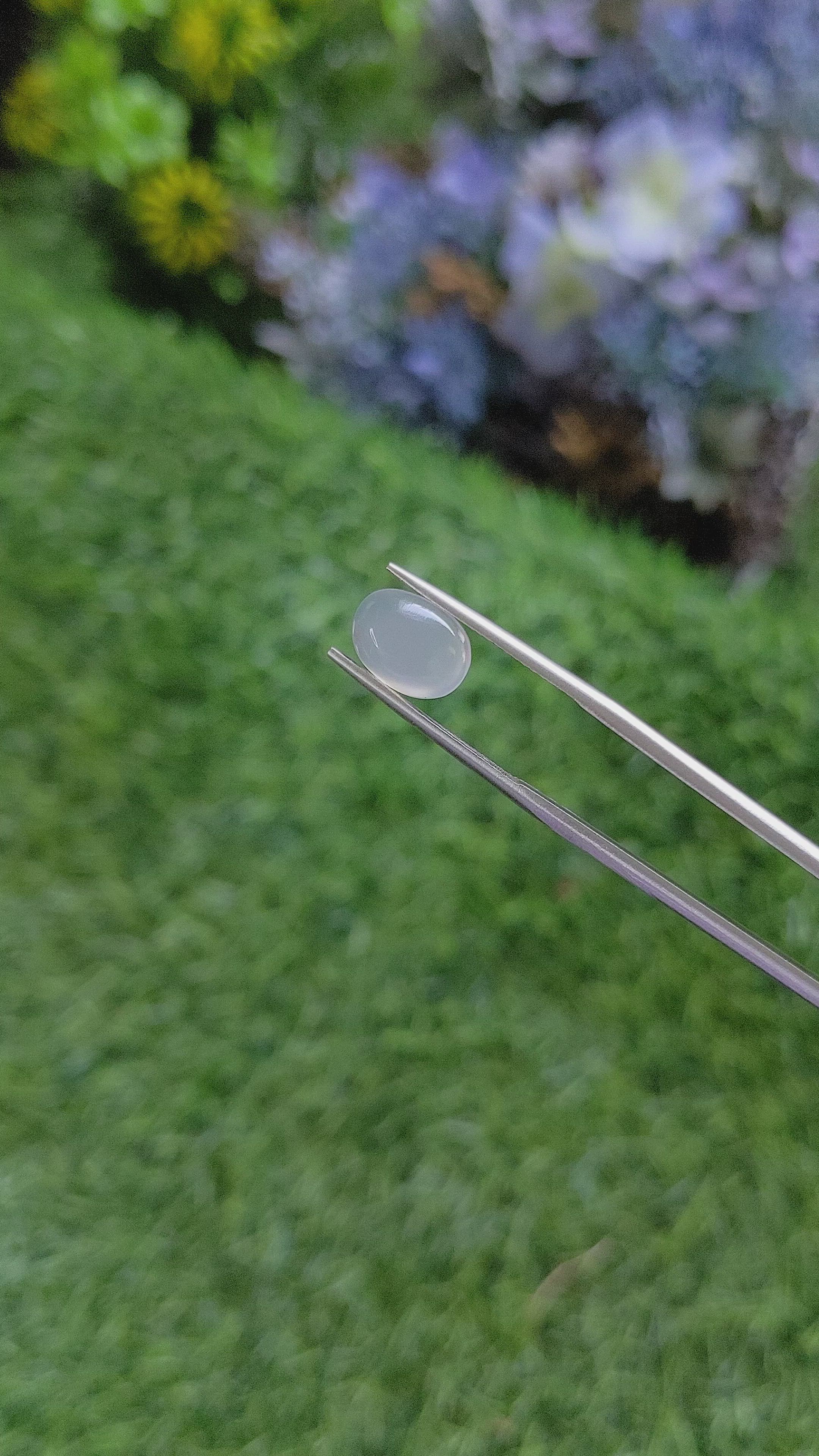 1.87 Ct. Cabochon Moonstone from Ceylon (Sri Lanka) Size Video