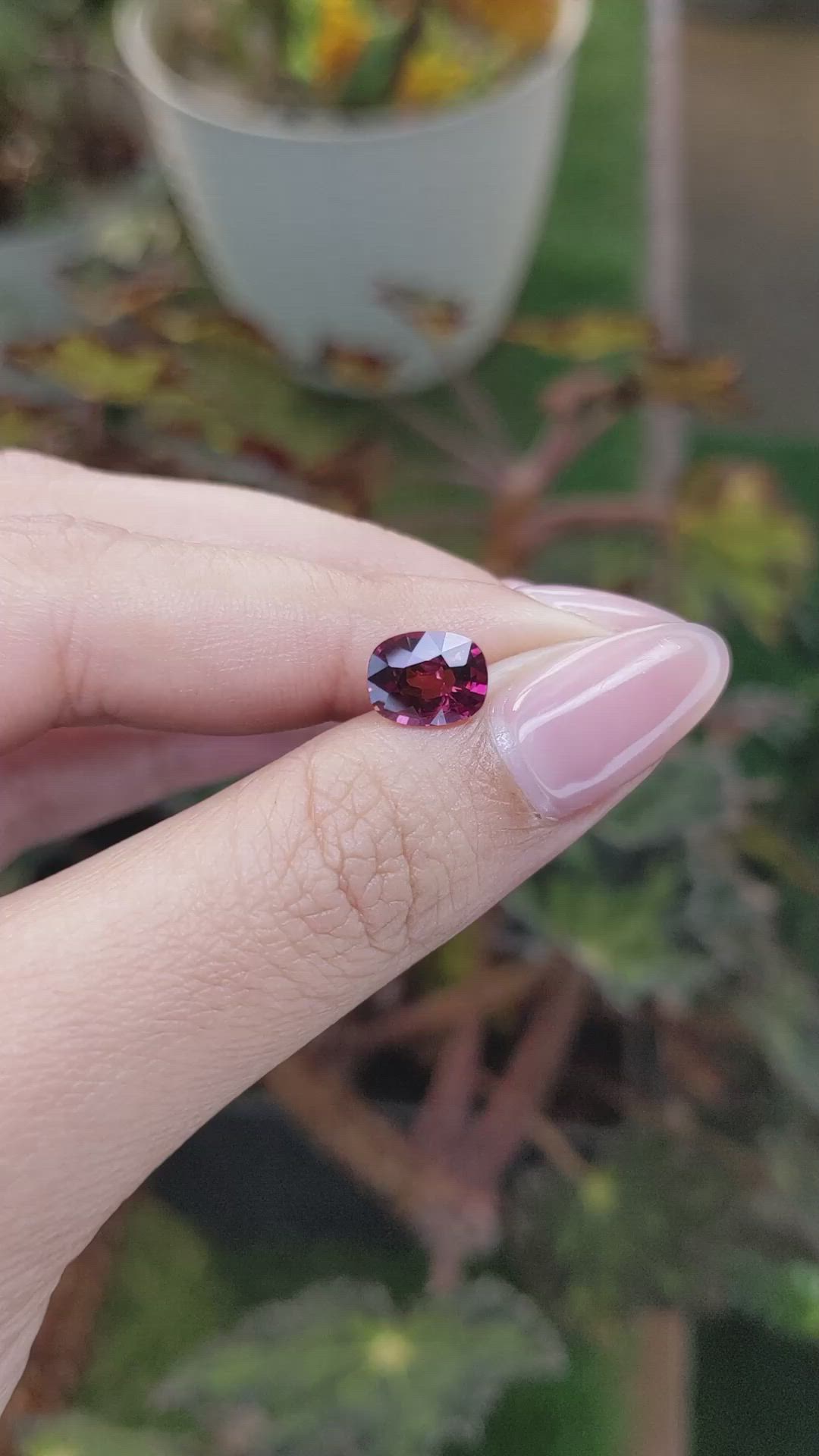 2.01 Ct. Rhodolite Garnet from Ceylon (Sri Lanka) Size Video