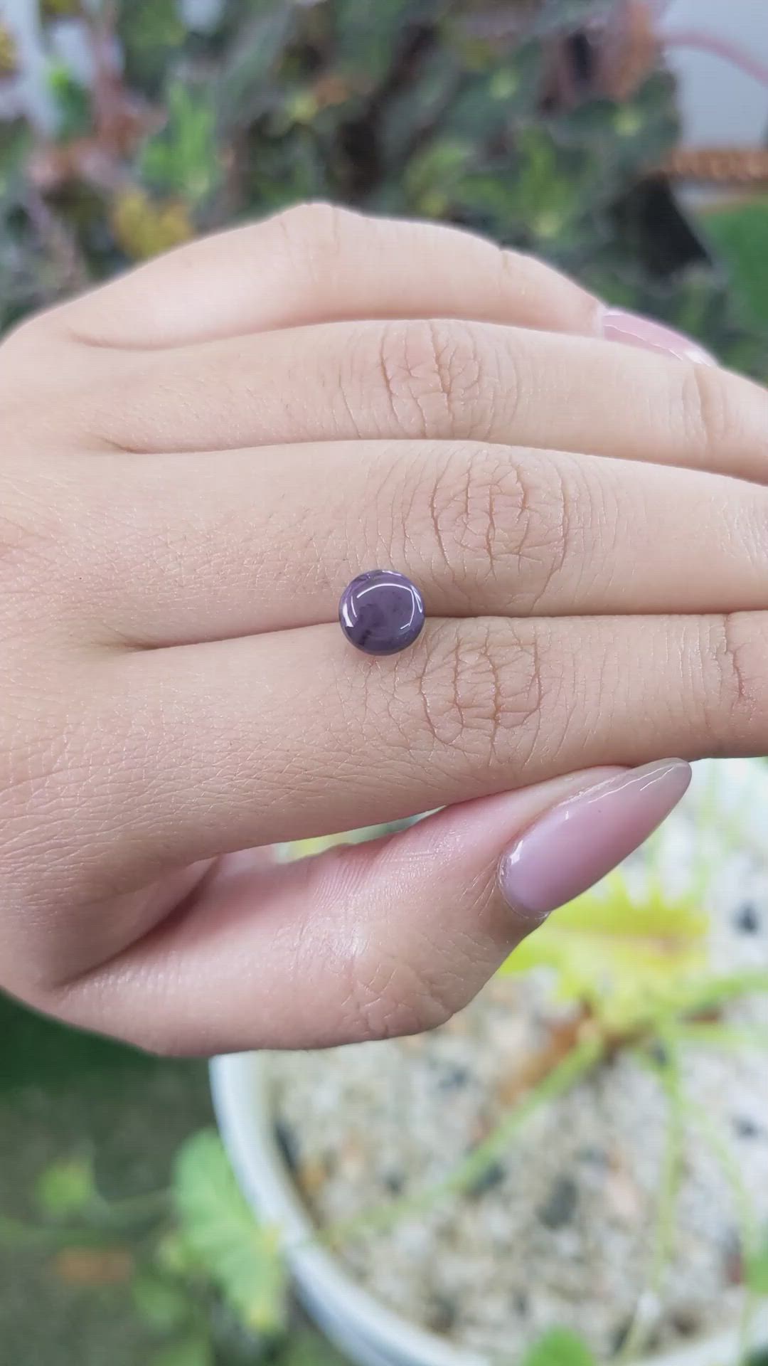 2.70 Ct. Purple Star Spinel from Ceylon (Sri Lanka) Size Video