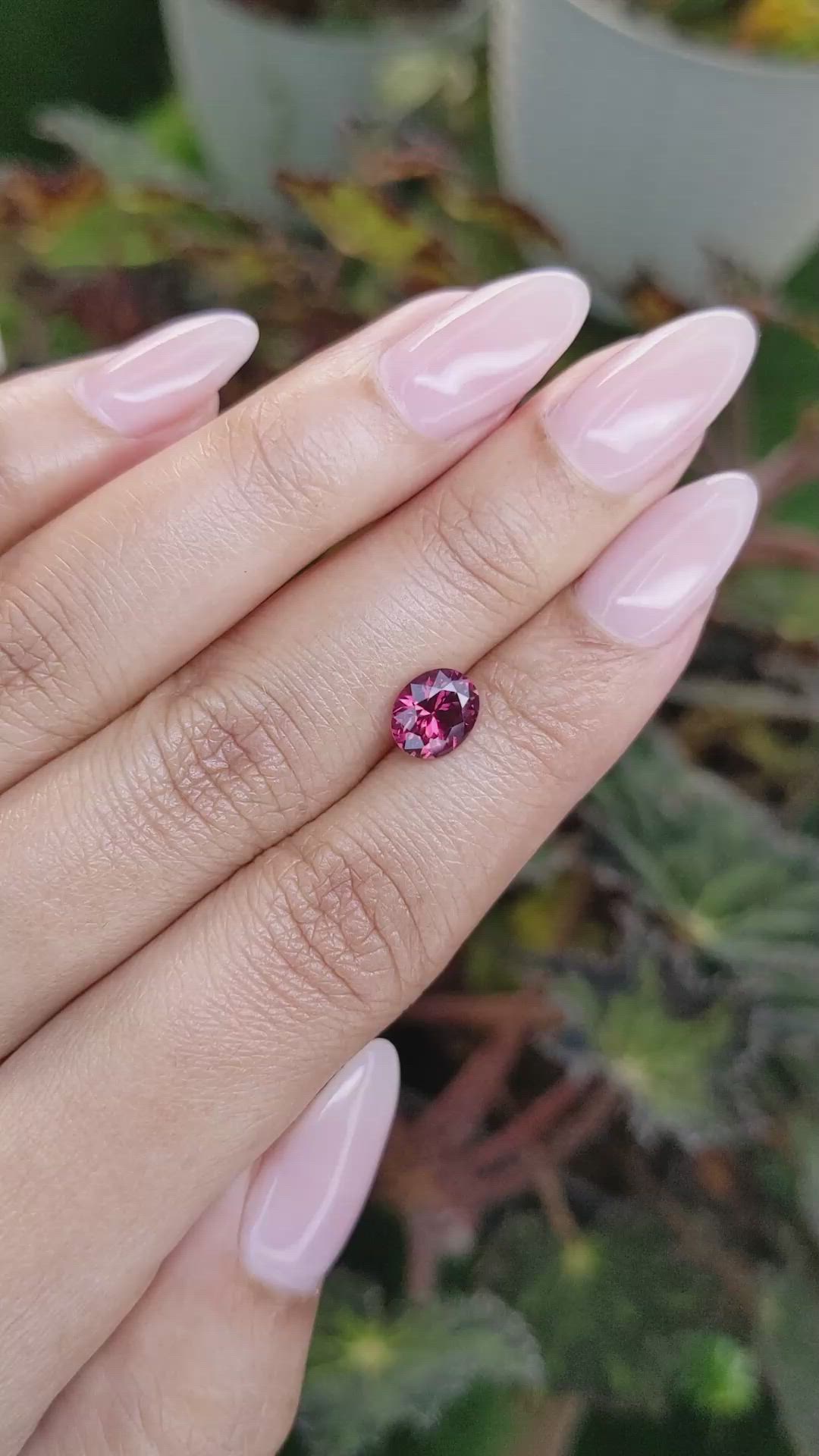 1.43 Ct. Rhodolite Garnet from Ceylon (Sri Lanka) Size Video