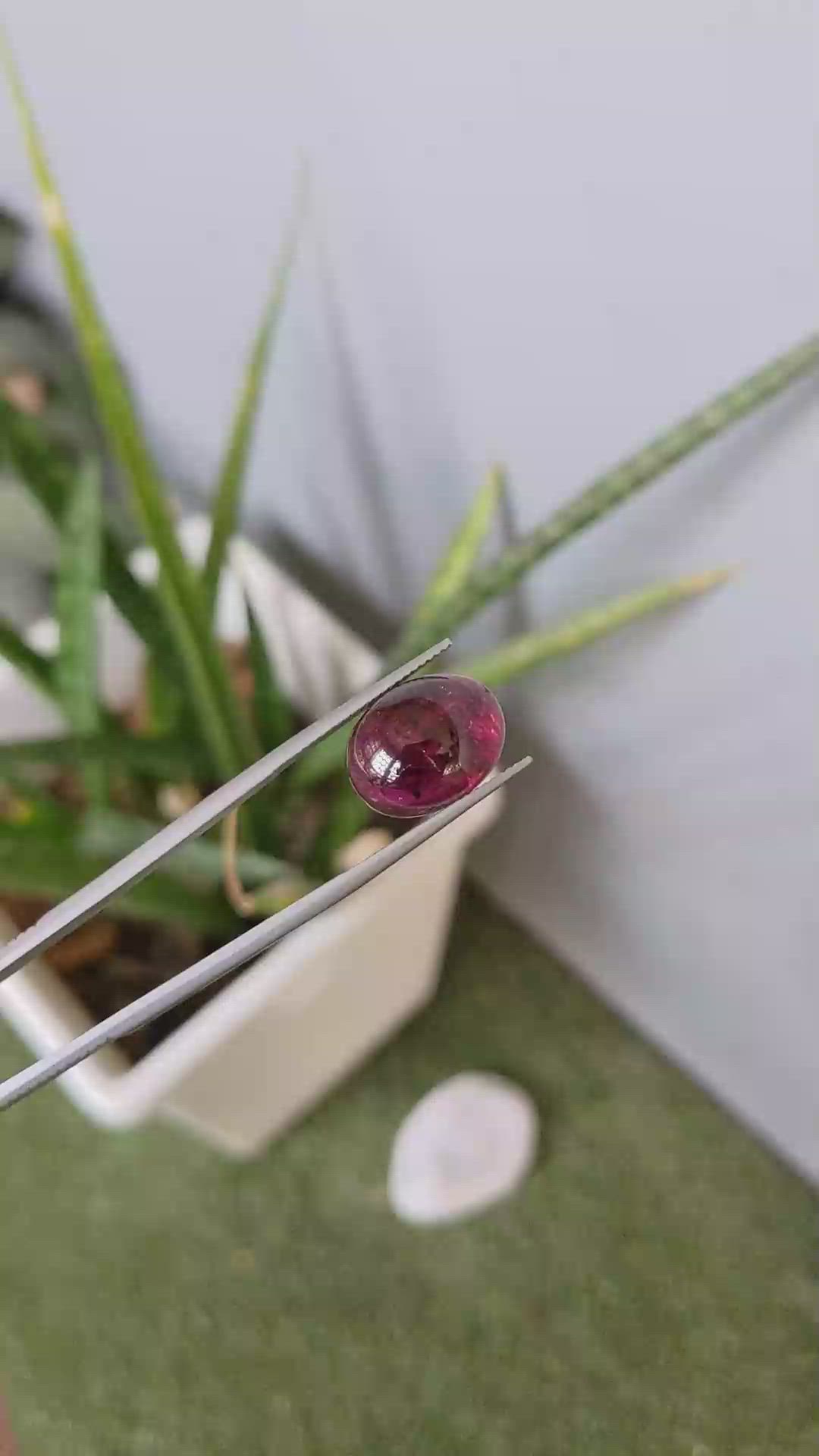 12.54 Ct. Cabochon Rubellite Tourmaline from Brazil Size Video