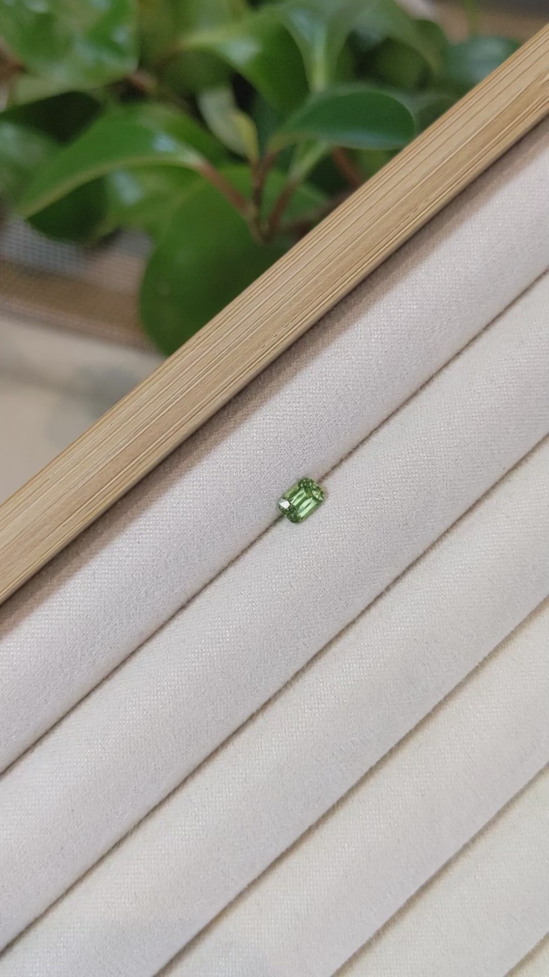 0.65 Ct. Demantoid Garnet from Namibia Size Video