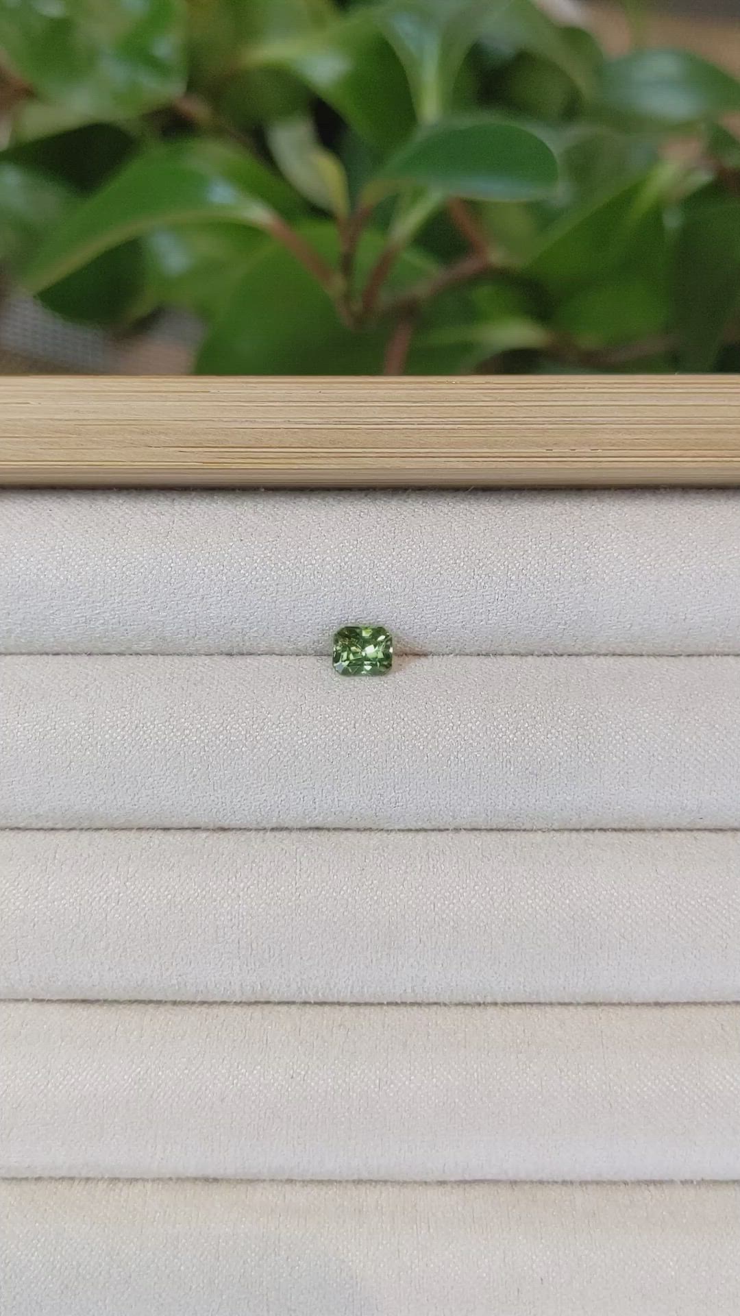 0.74 Ct. Demantoid Garnet from Namibia Size Video