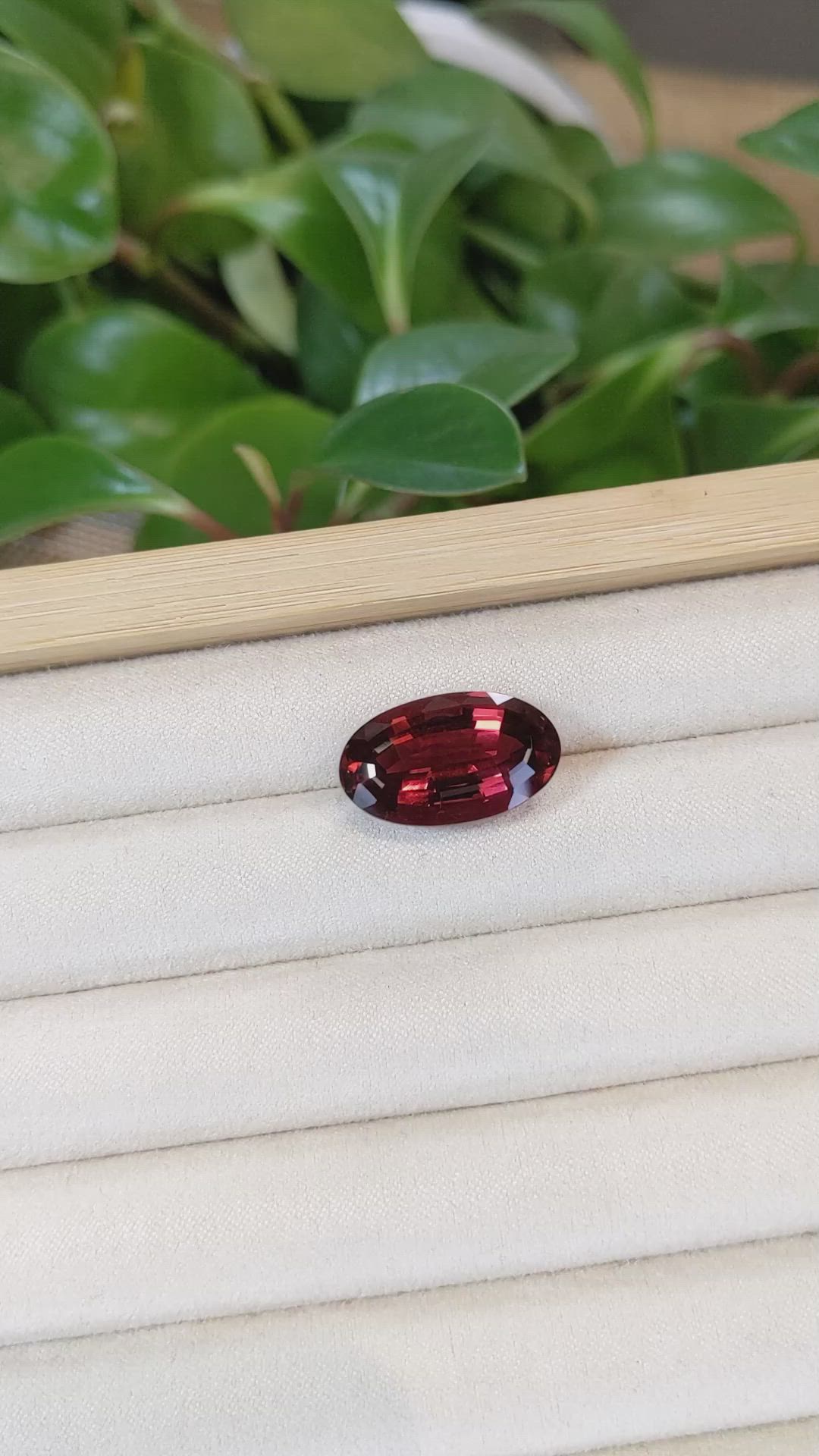 16.67 Ct. Rubellite Tourmaline from Brazil Size Video