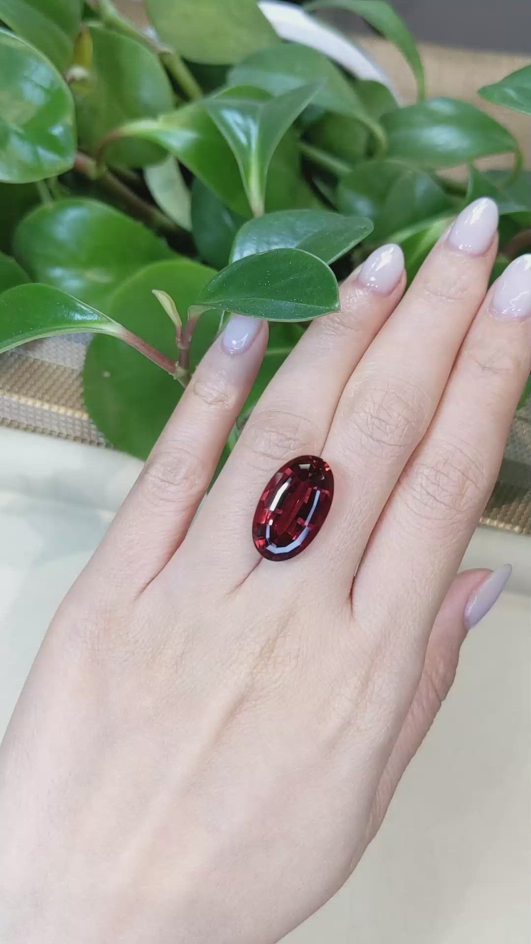 16.67 Ct. Rubellite Tourmaline from Brazil Size Video