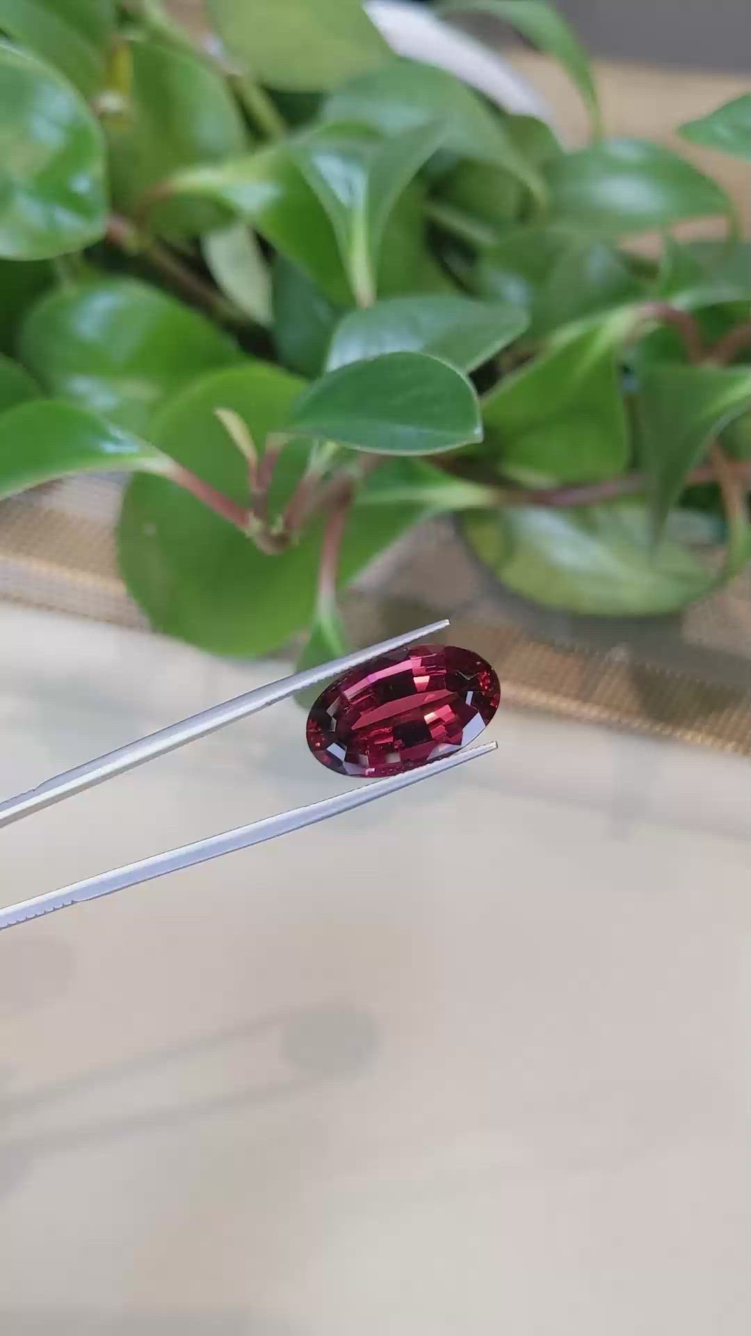 16.67 Ct. Rubellite Tourmaline from Brazil Size Video