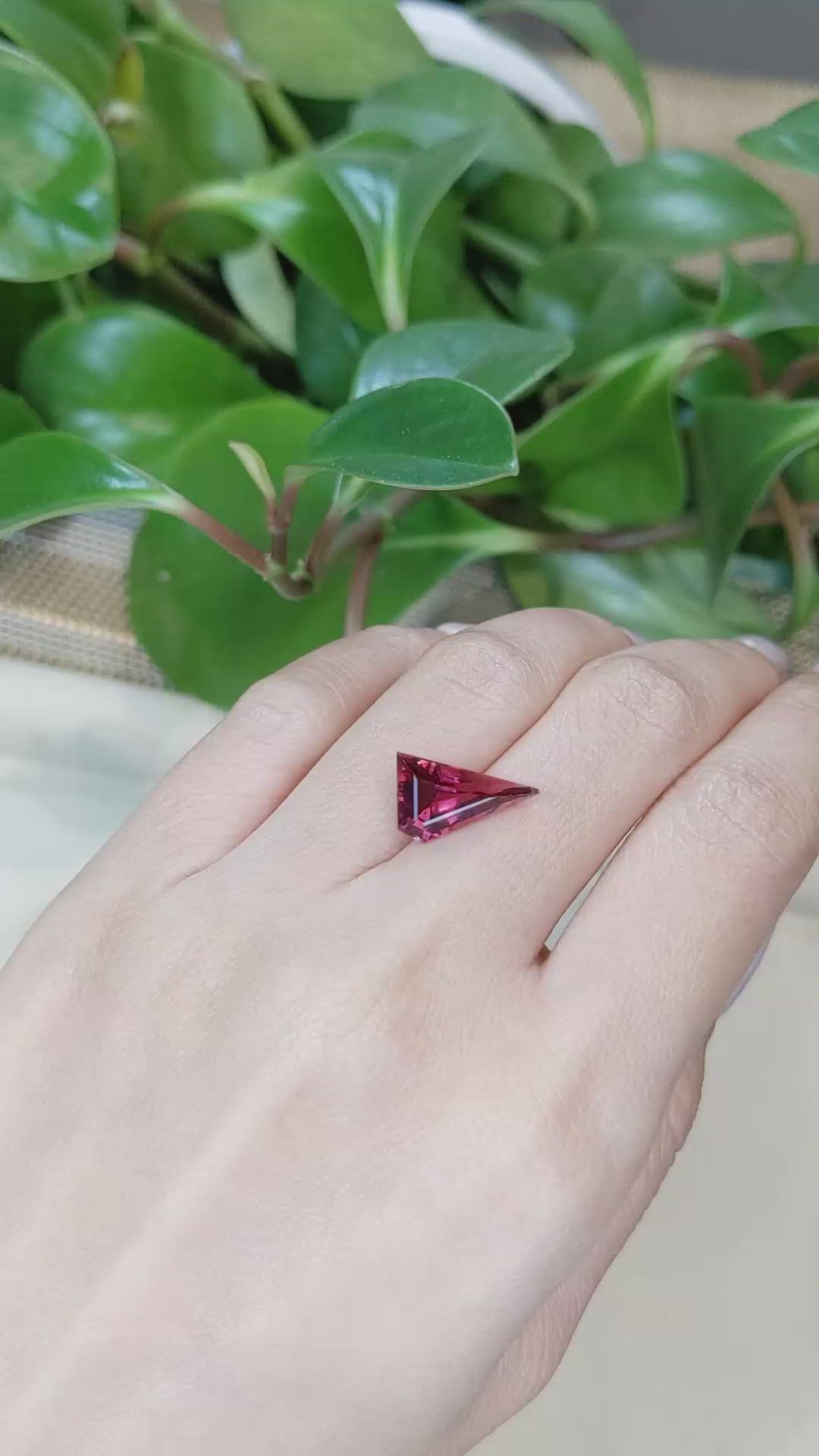 3.89 Ct. Pink Tourmaline from Mozambique Size Video