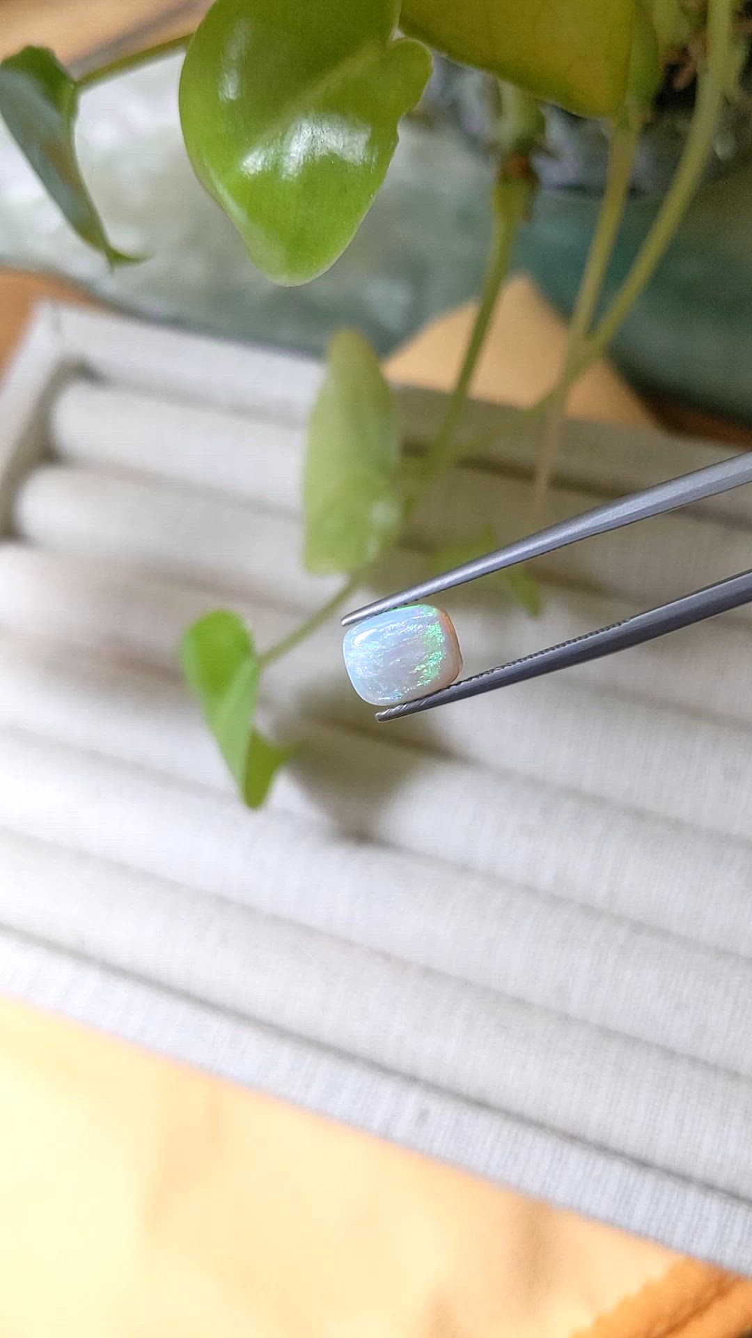 1.31 Ct. Cabochon White Opal from Australia Size Video