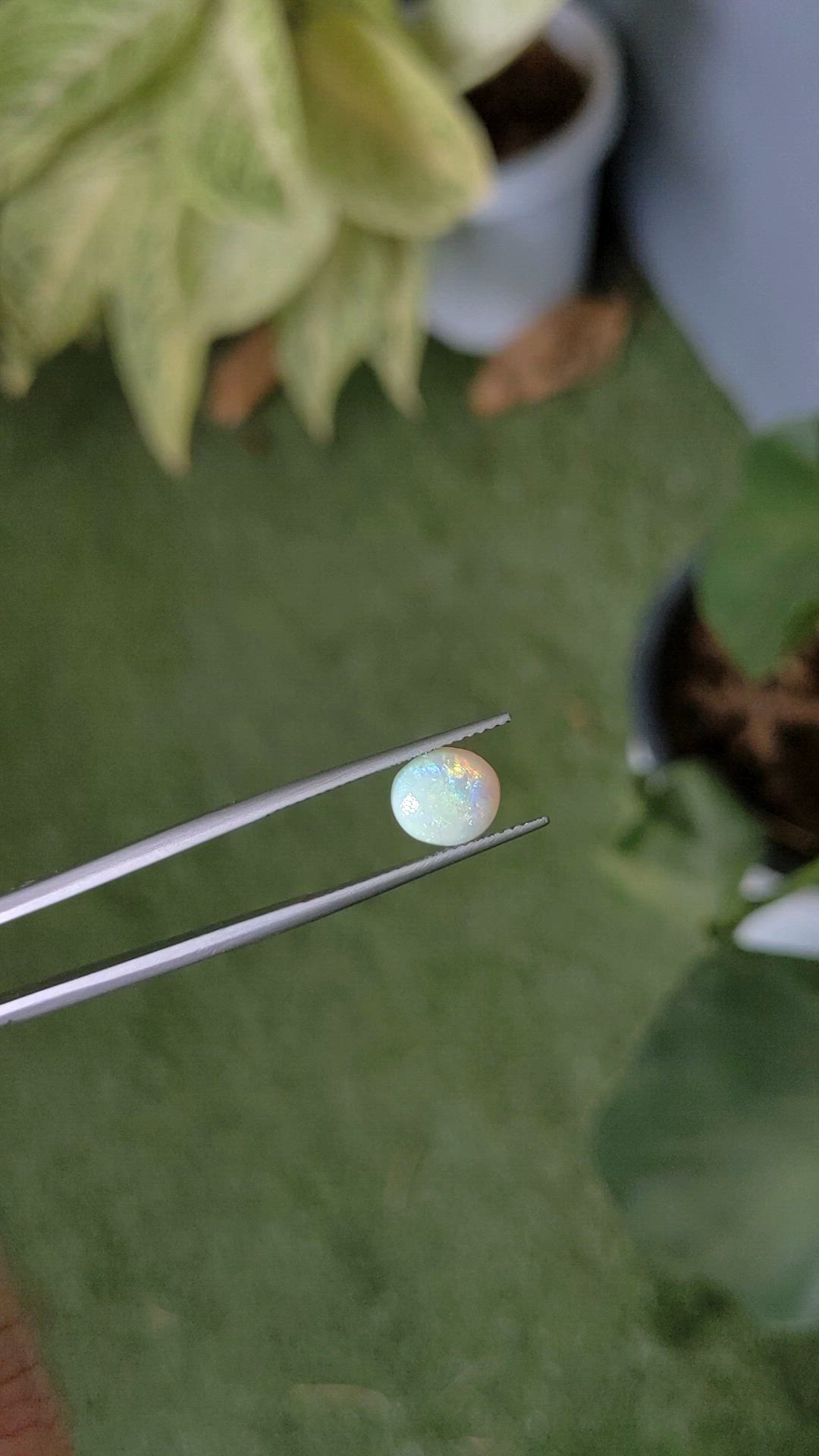 1.52 Ct. Cabochon White Opal from Australia Size Video