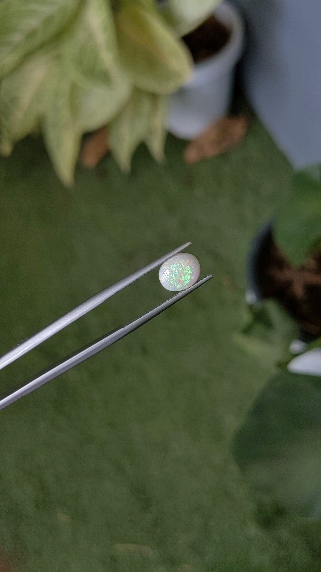 1.14 Ct. Cabochon White Opal from Australia Size Video