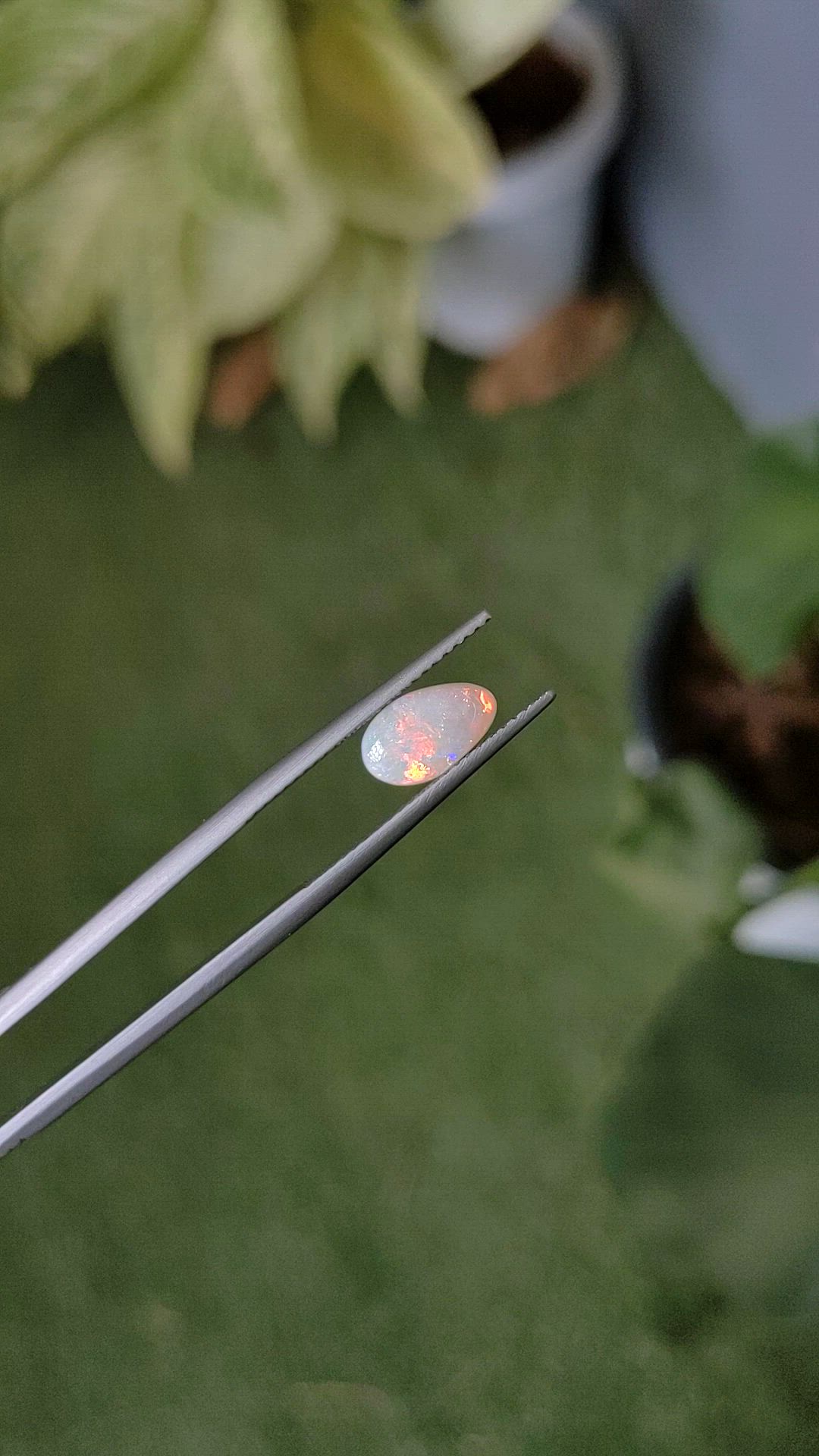 0.80 Ct. Cabochon White Opal from Australia Size Video