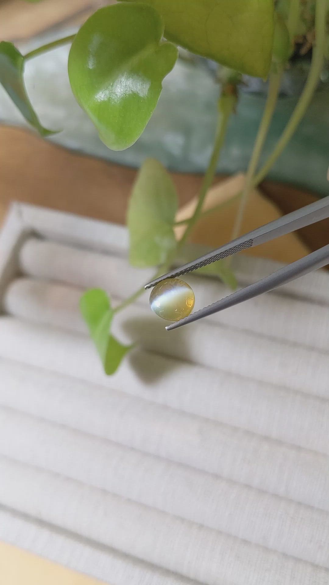 3.05 Ct. Cabochon Chrysoberyl from Ceylon (Sri Lanka) Size Video