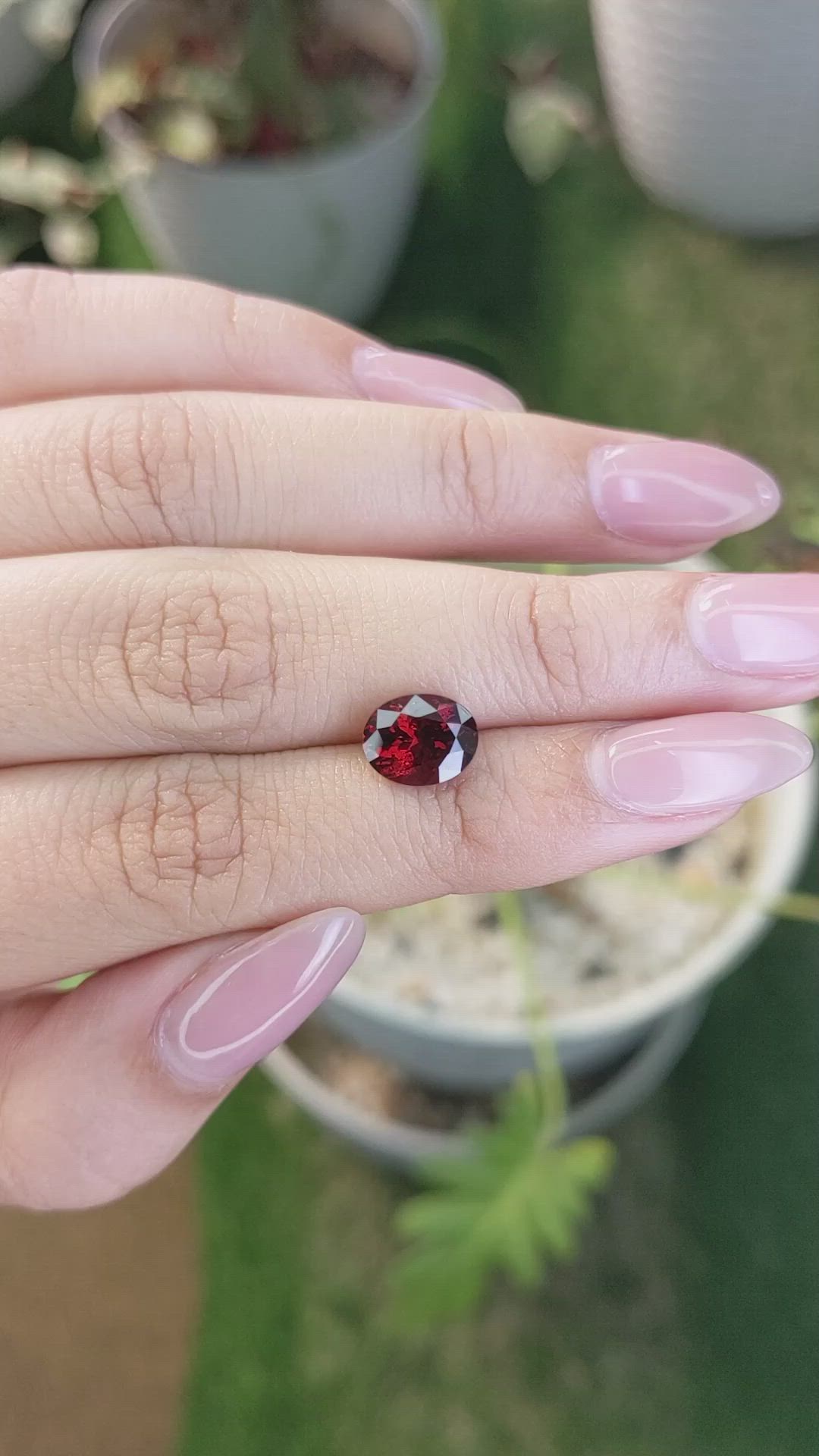 2.68 Ct. Red Garnet from Ceylon (Sri Lanka) Size Video