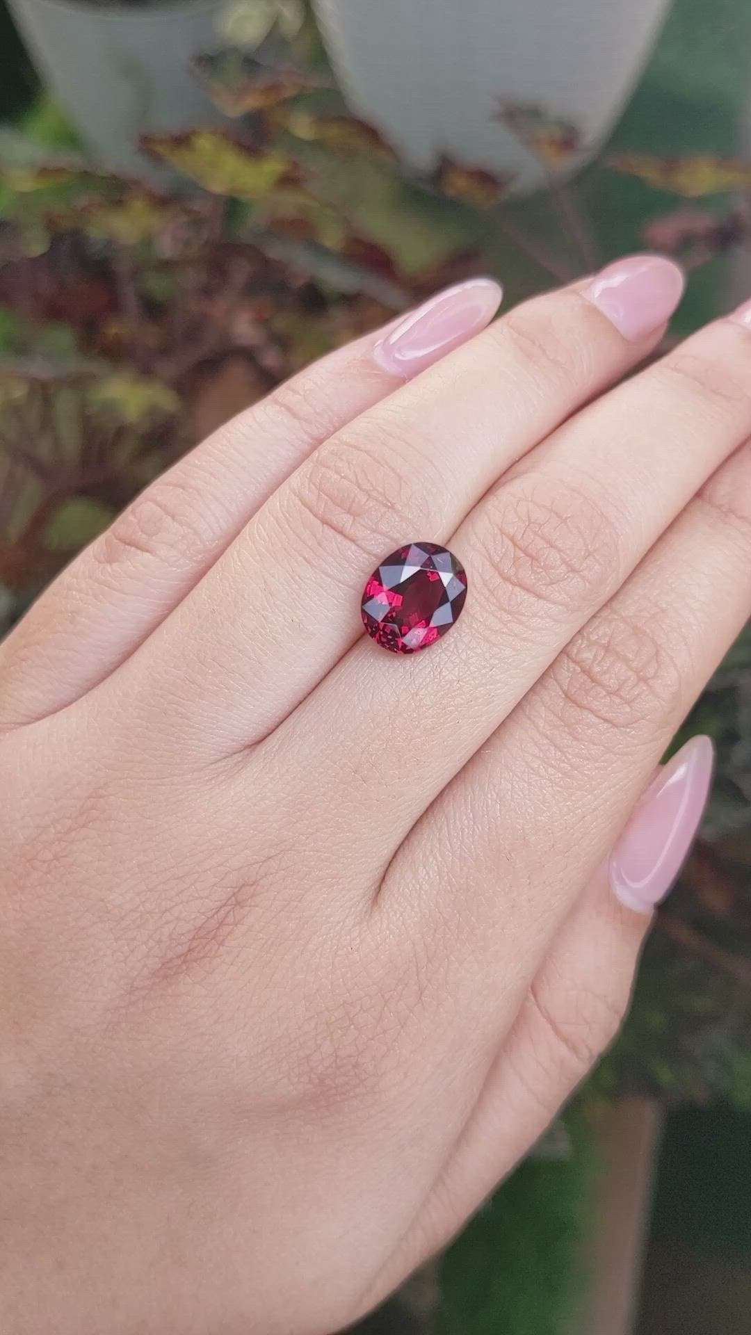4.61 Ct. Red Garnet from Ceylon (Sri Lanka) Size Video