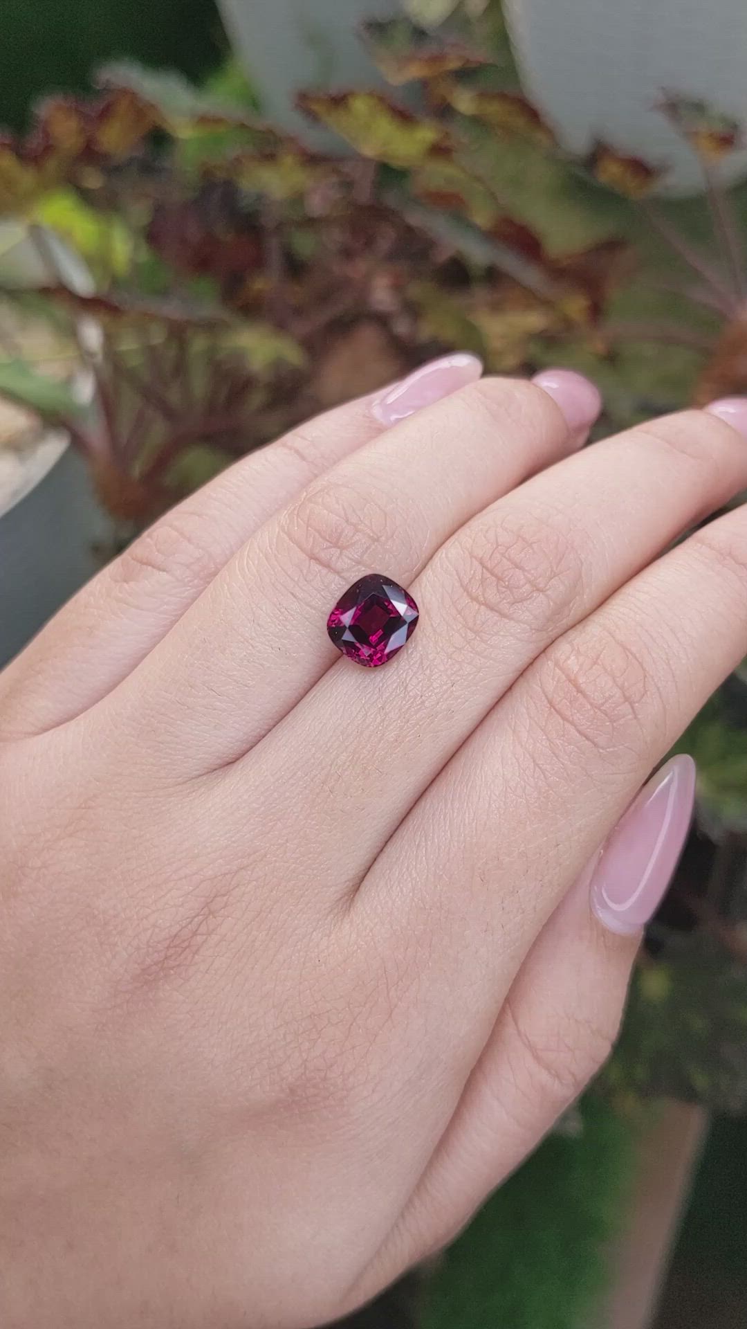 3.74 Ct. Purplish Red Rhodolite Garnet from Ceylon (Sri Lanka) Size Video