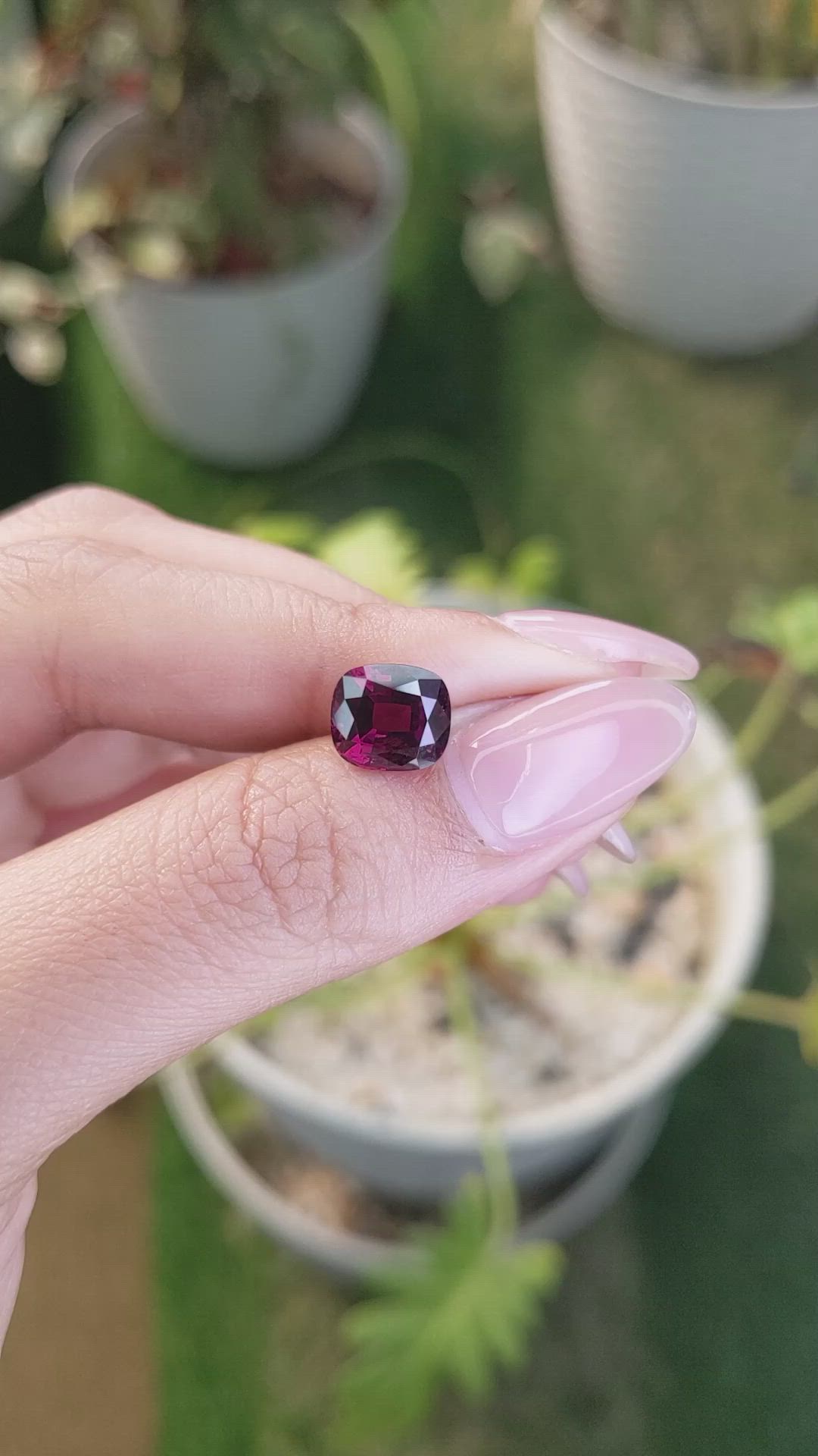 3.74 Ct. Purplish Red Rhodolite Garnet from Ceylon (Sri Lanka) Size Video