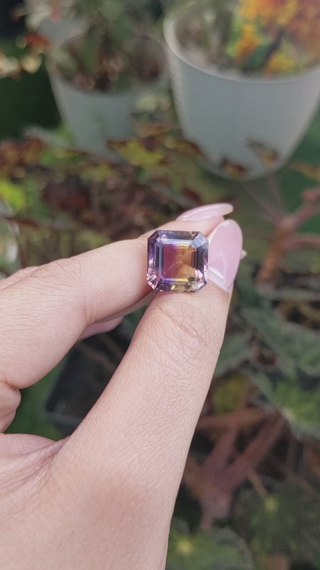 10.77 Ct. Bi Color Ametrine from Ceylon (Sri Lanka) Size Video