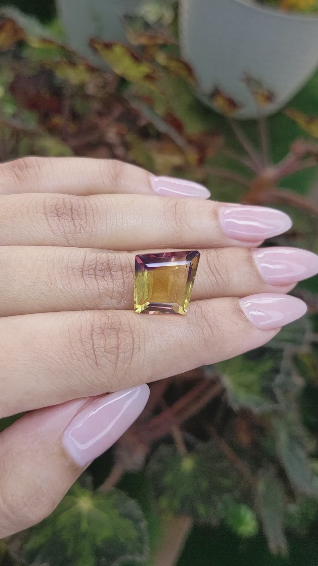9.90 Ct. Ametrine from Ceylon (Sri Lanka) Size Video