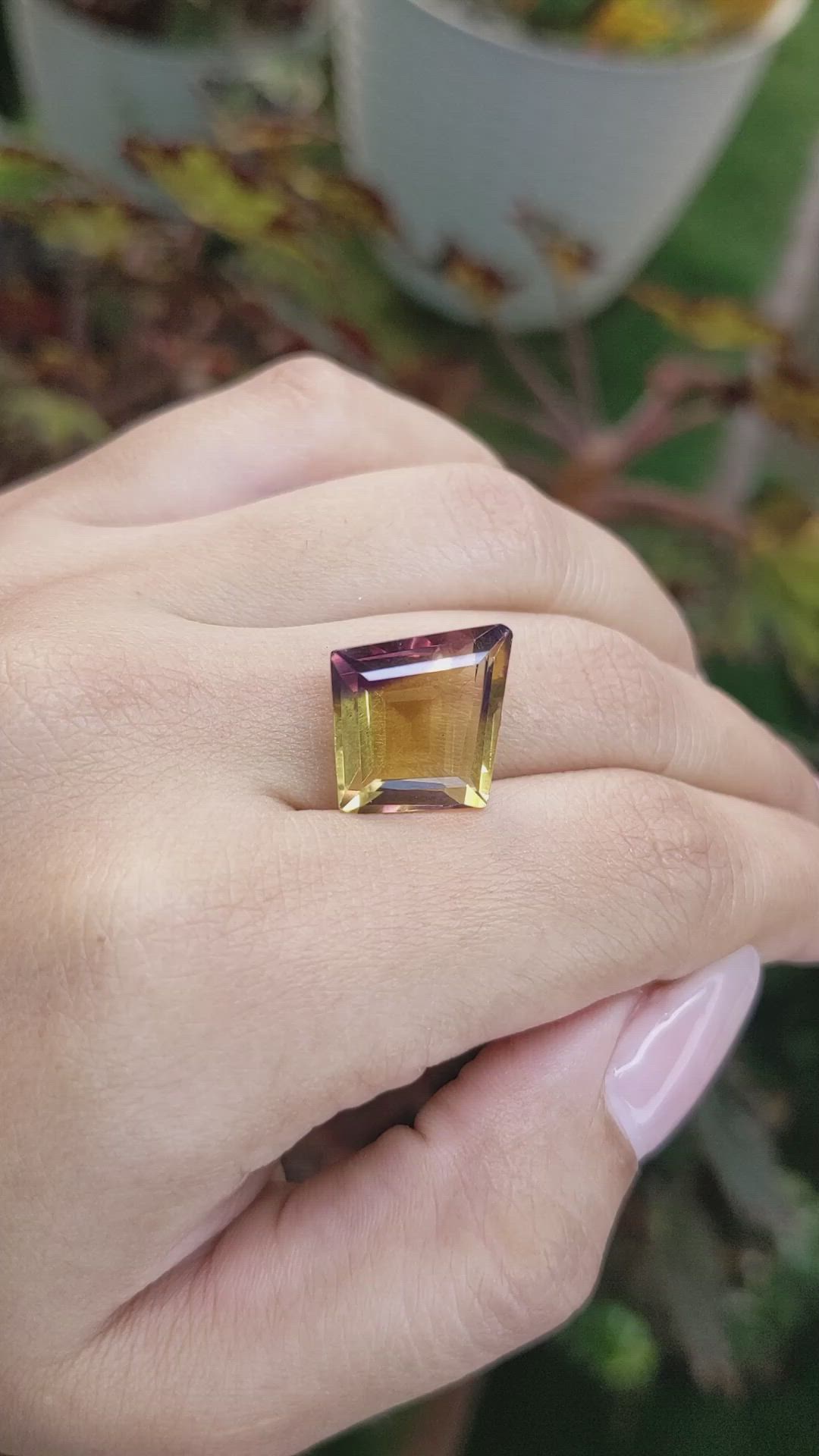 9.90 Ct. Ametrine from Ceylon (Sri Lanka) Size Video