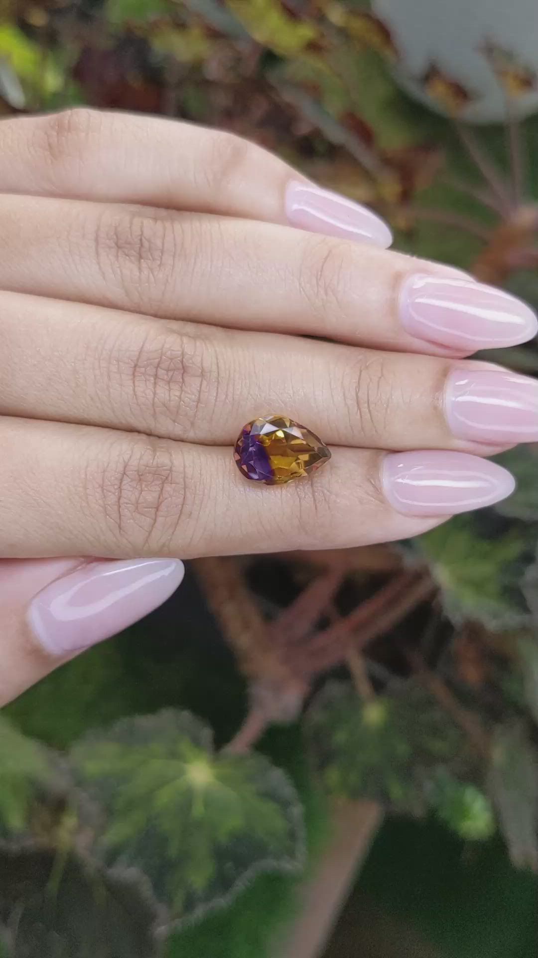 4.81 Ct. Bi Color Ametrine from Ceylon (Sri Lanka) Size Video