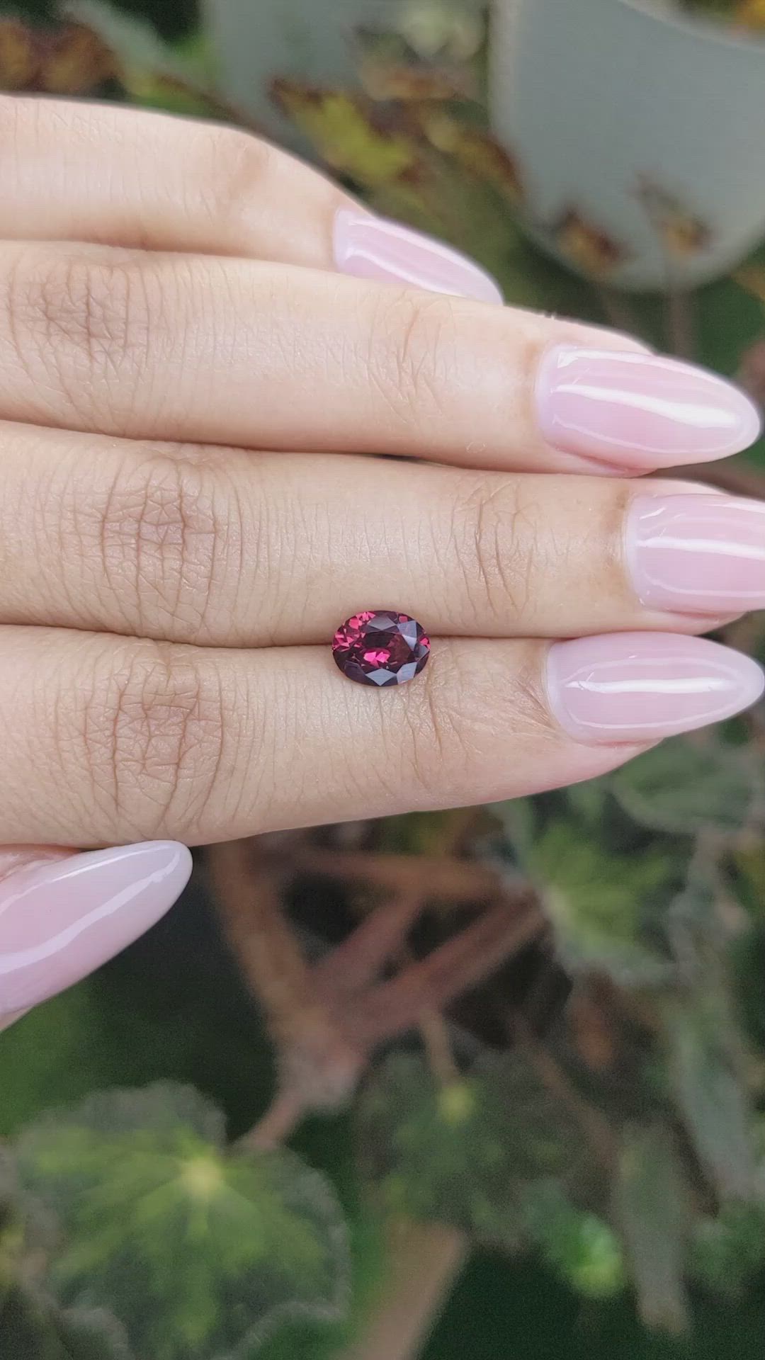1.31 Ct. Rhodolite Garnet from Ceylon (Sri Lanka) Size Video
