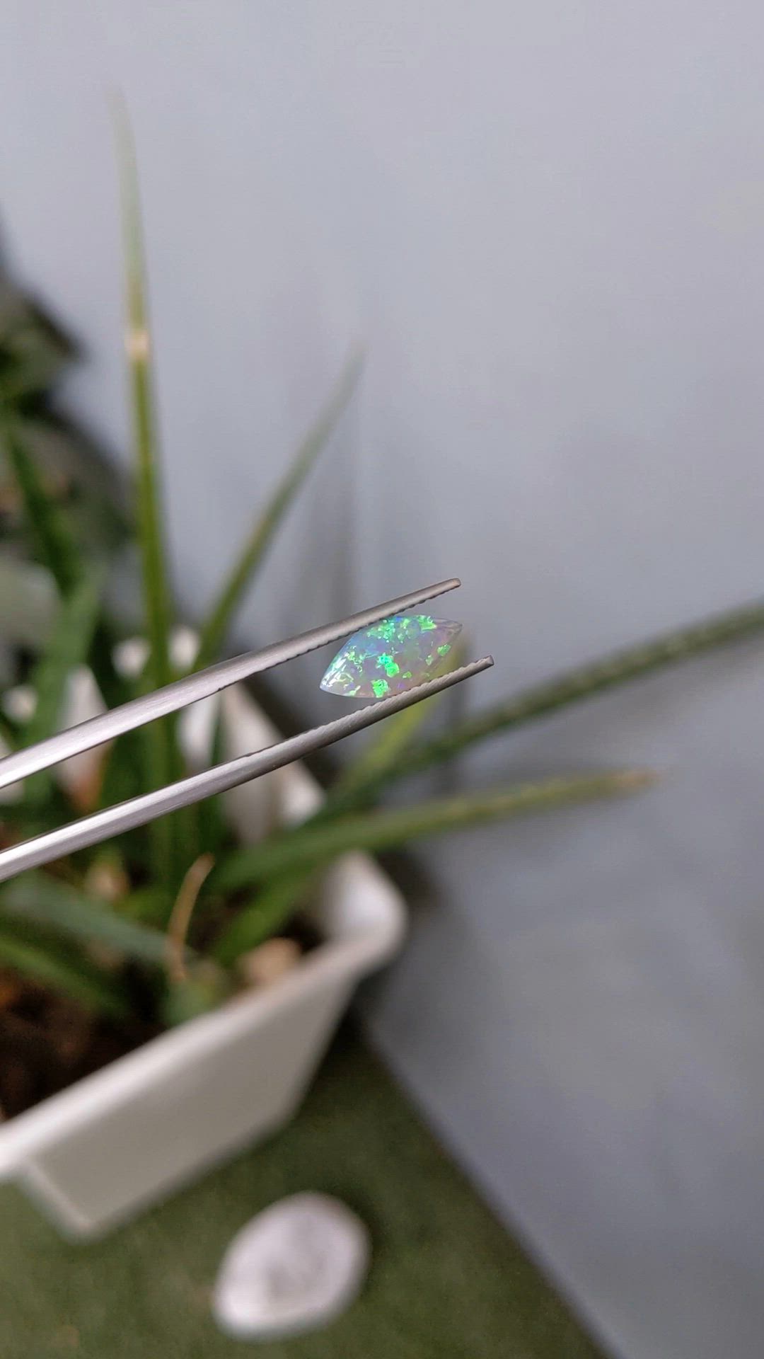 0.69 Ct. Multi Color Cabochon Crystal/Jelly Opal from Australia Size Video