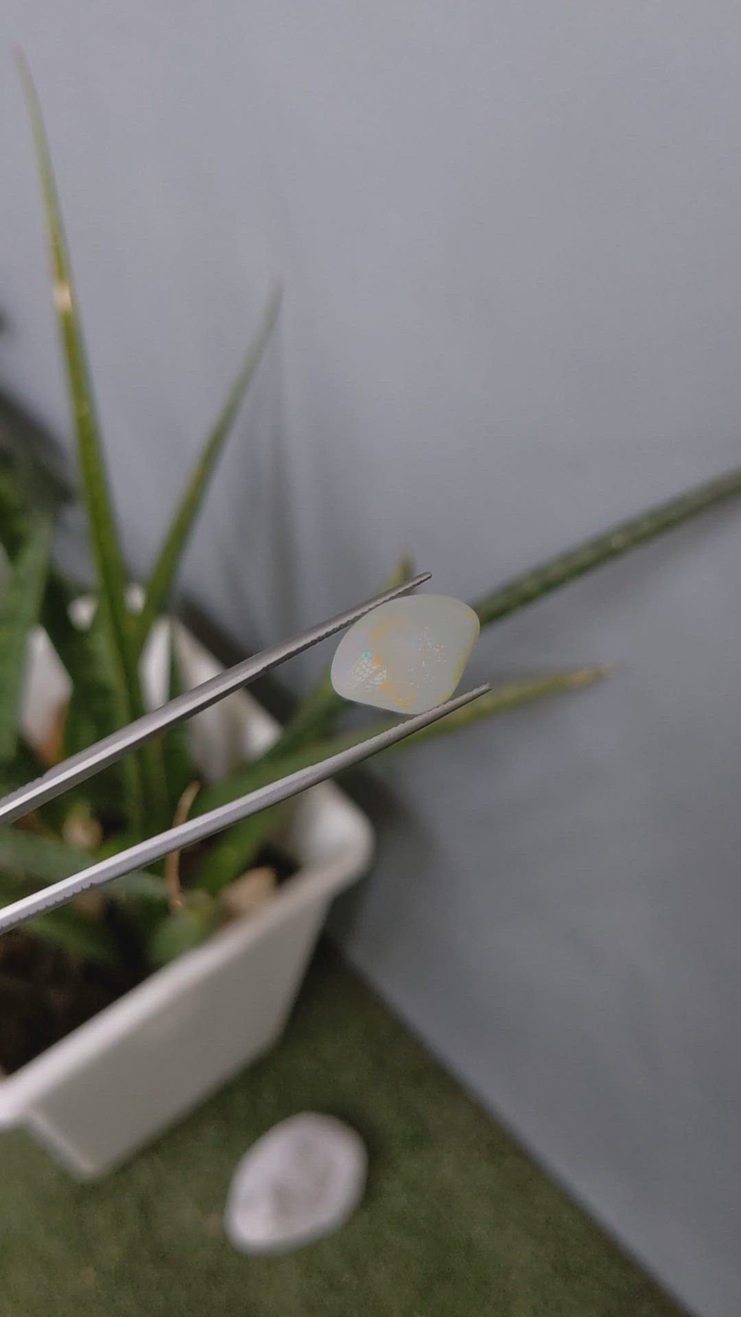 7.63 Ct. Cabochon Crystal/Jelly Opal from Australia Size Video