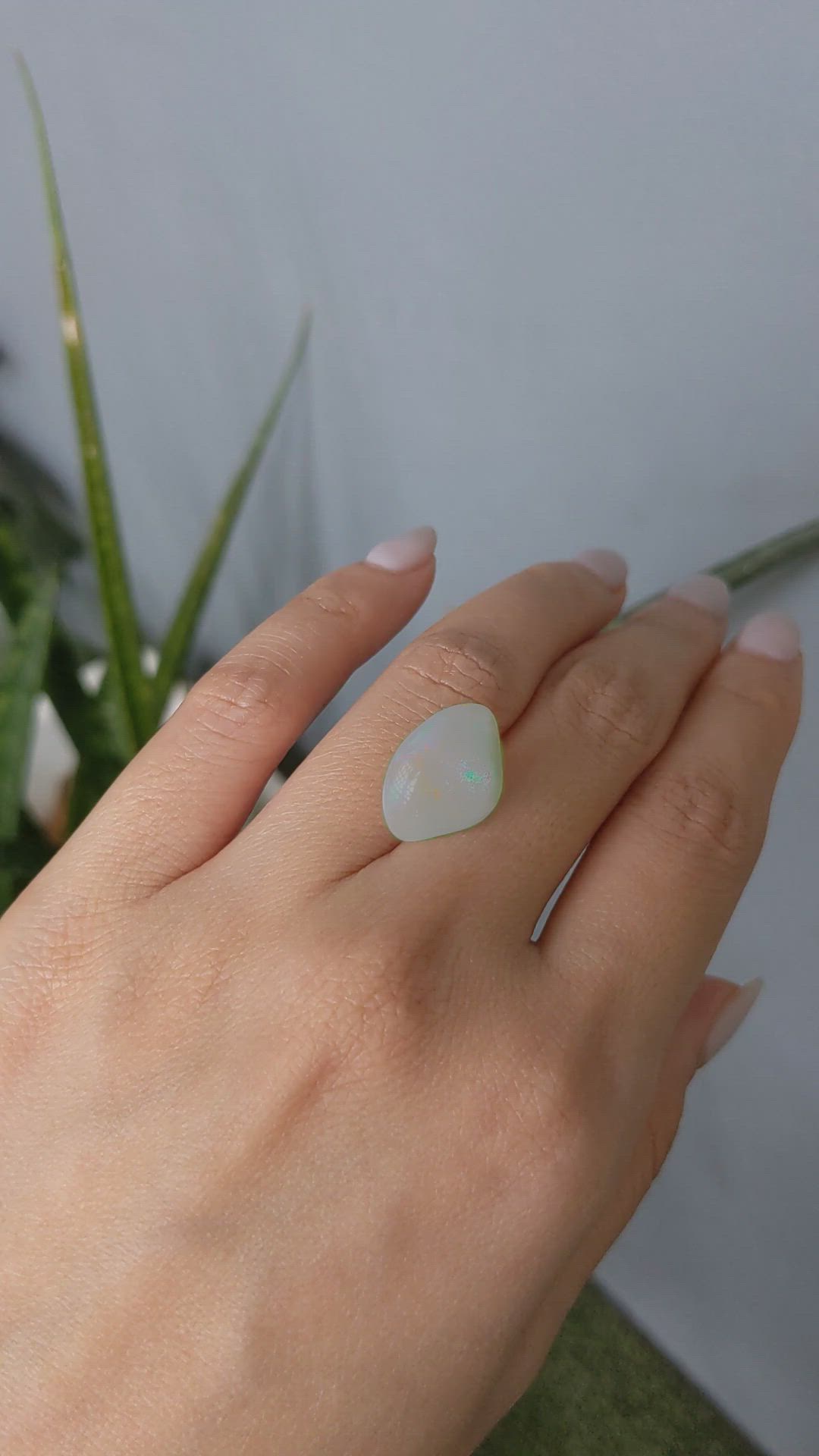 7.63 Ct. Cabochon Crystal/Jelly Opal from Australia Size Video