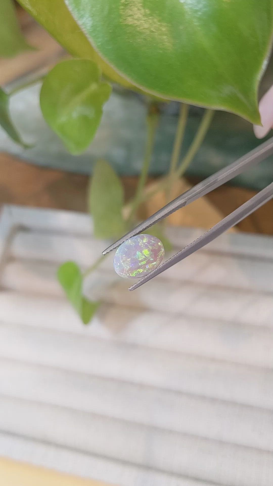 1.56 Ct. White Opal from Australia Size Video