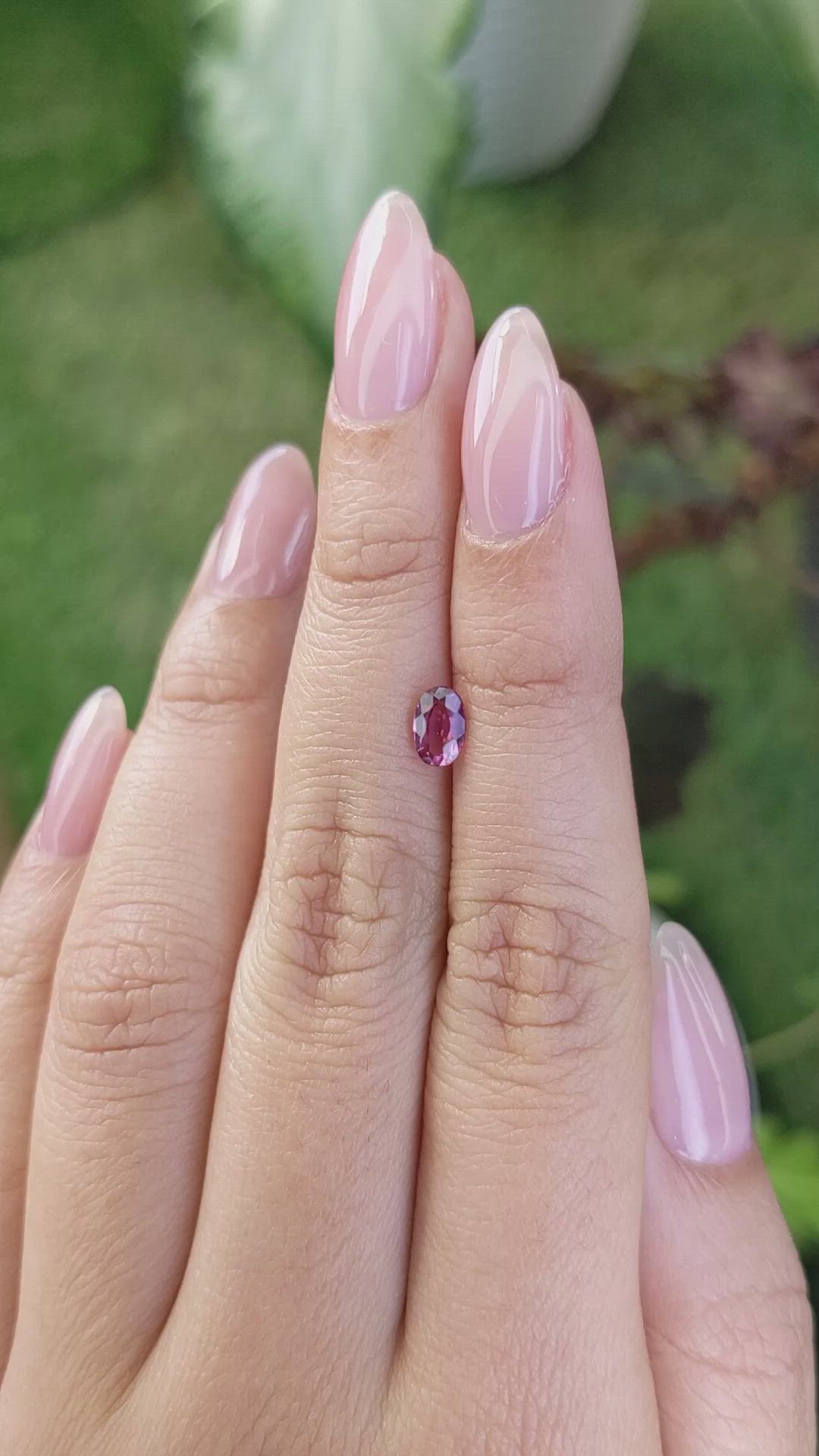 0.66 Ct. Rhodolite Garnet from Ceylon (Sri Lanka) Size Video