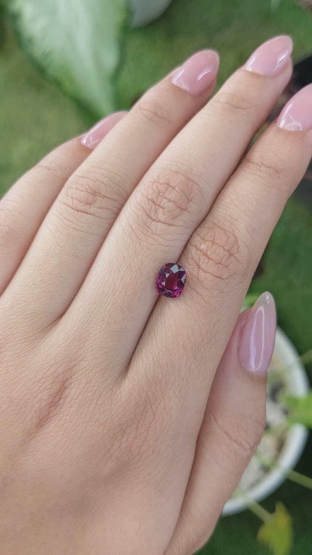1.67 Ct. Rhodolite Garnet from Ceylon (Sri Lanka) Size Video