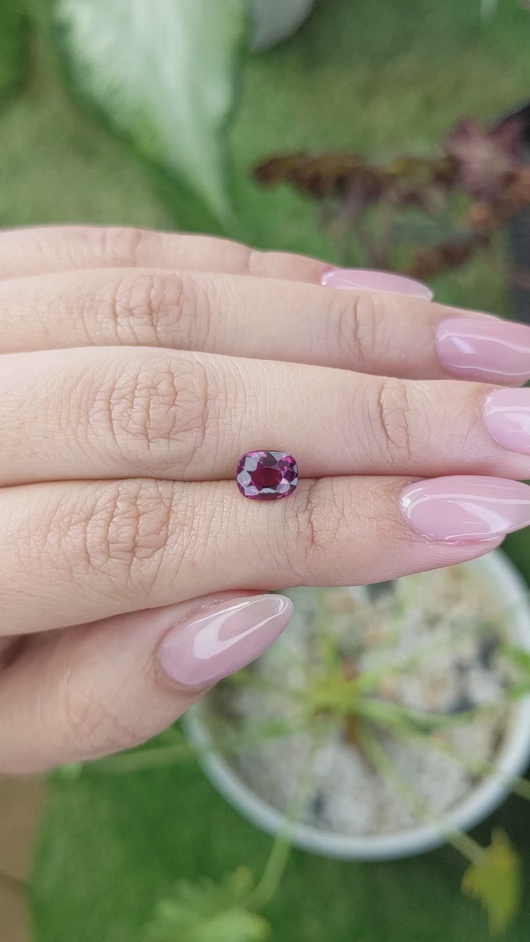 1.67 Ct. Rhodolite Garnet from Ceylon (Sri Lanka) Size Video