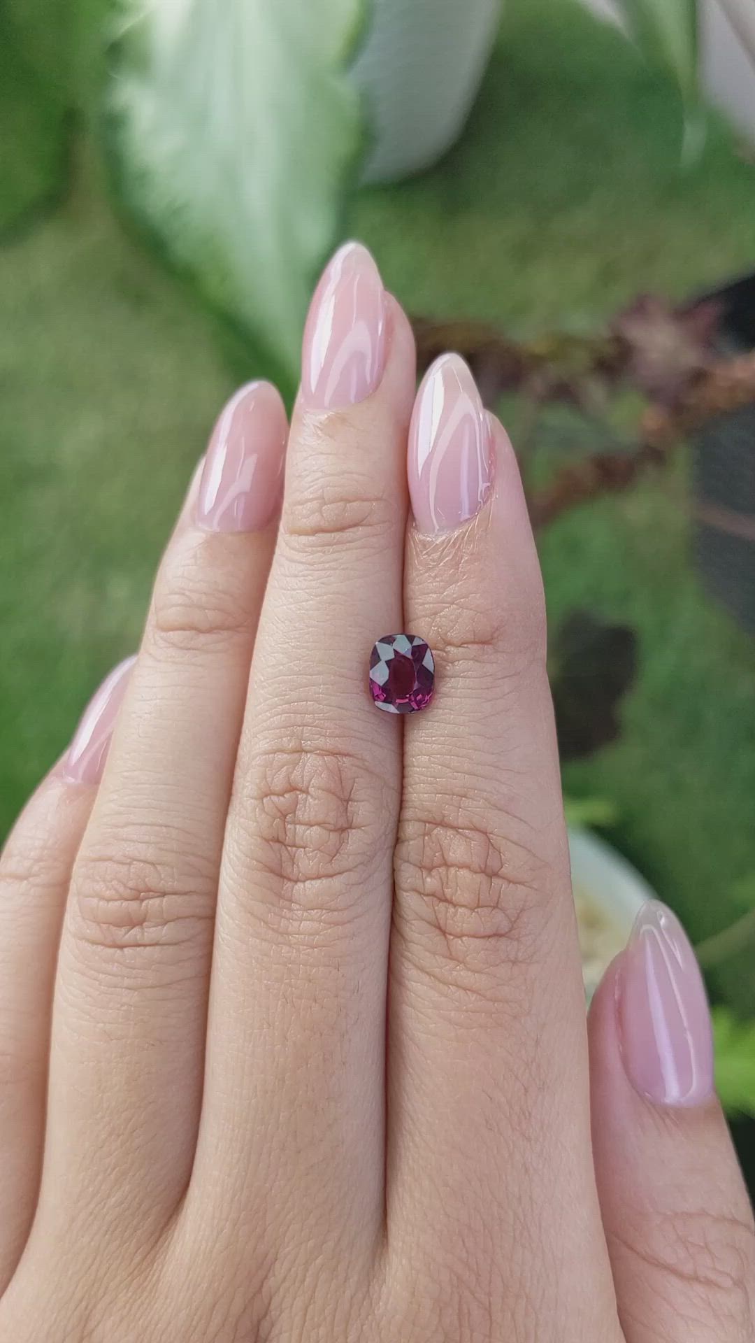 1.67 Ct. Rhodolite Garnet from Ceylon (Sri Lanka) Size Video