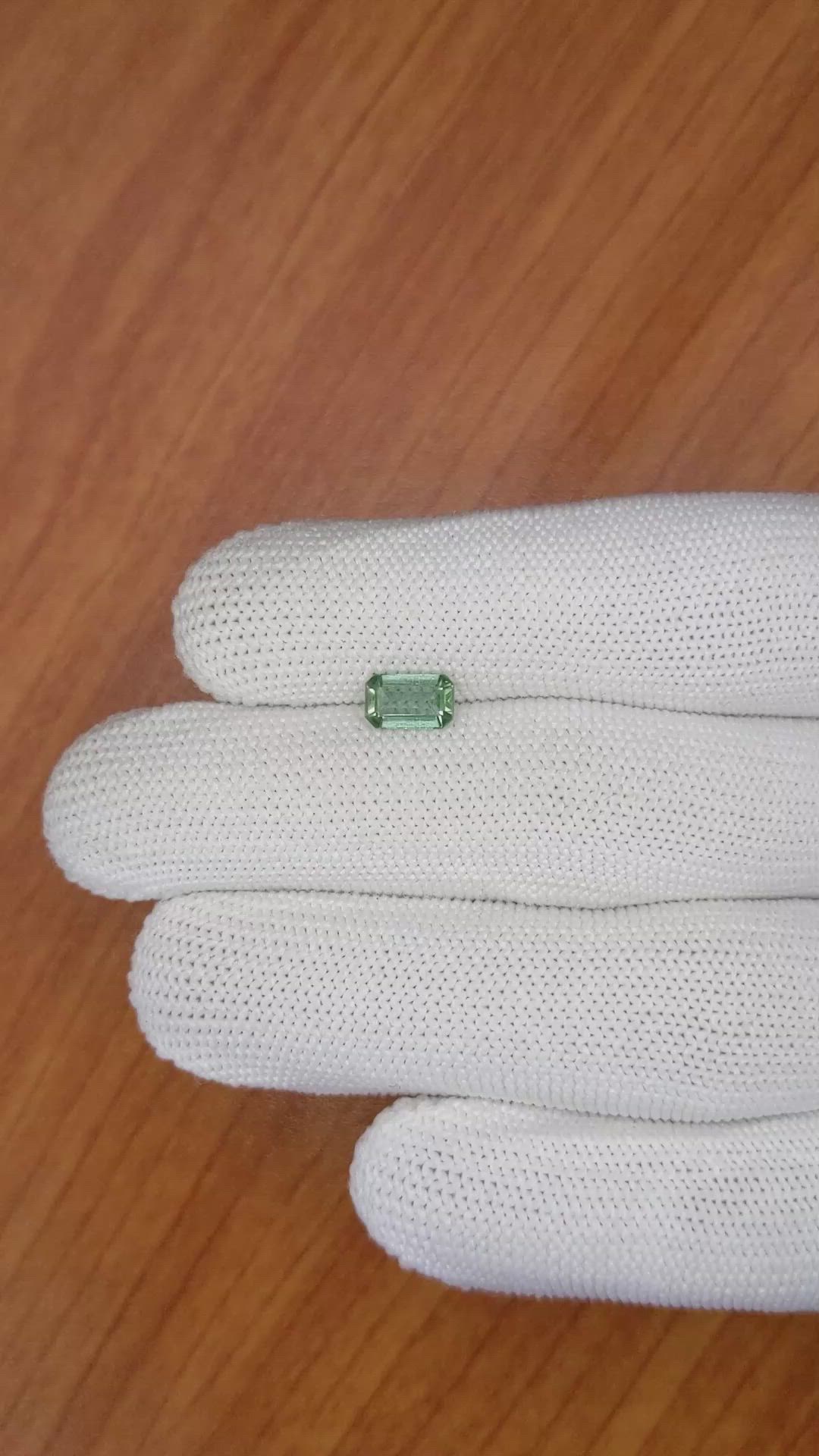 1.01 Ct. Prasiolite from Madagascar Size Video