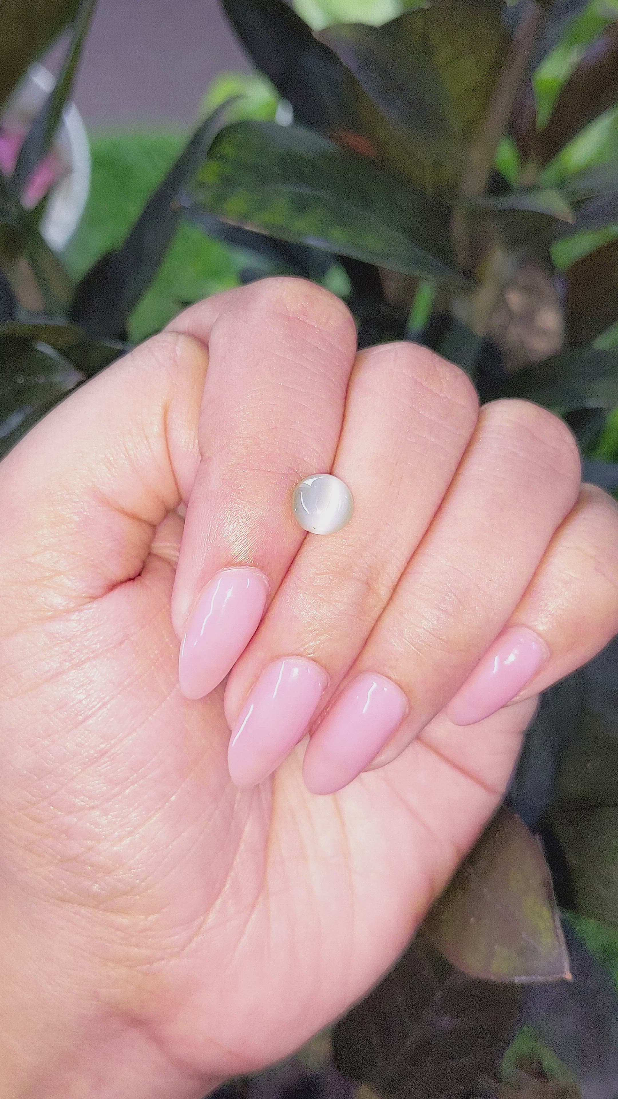 1.73 Ct. Cabochon Chrysoberyl from Ceylon (Sri Lanka) Size Video