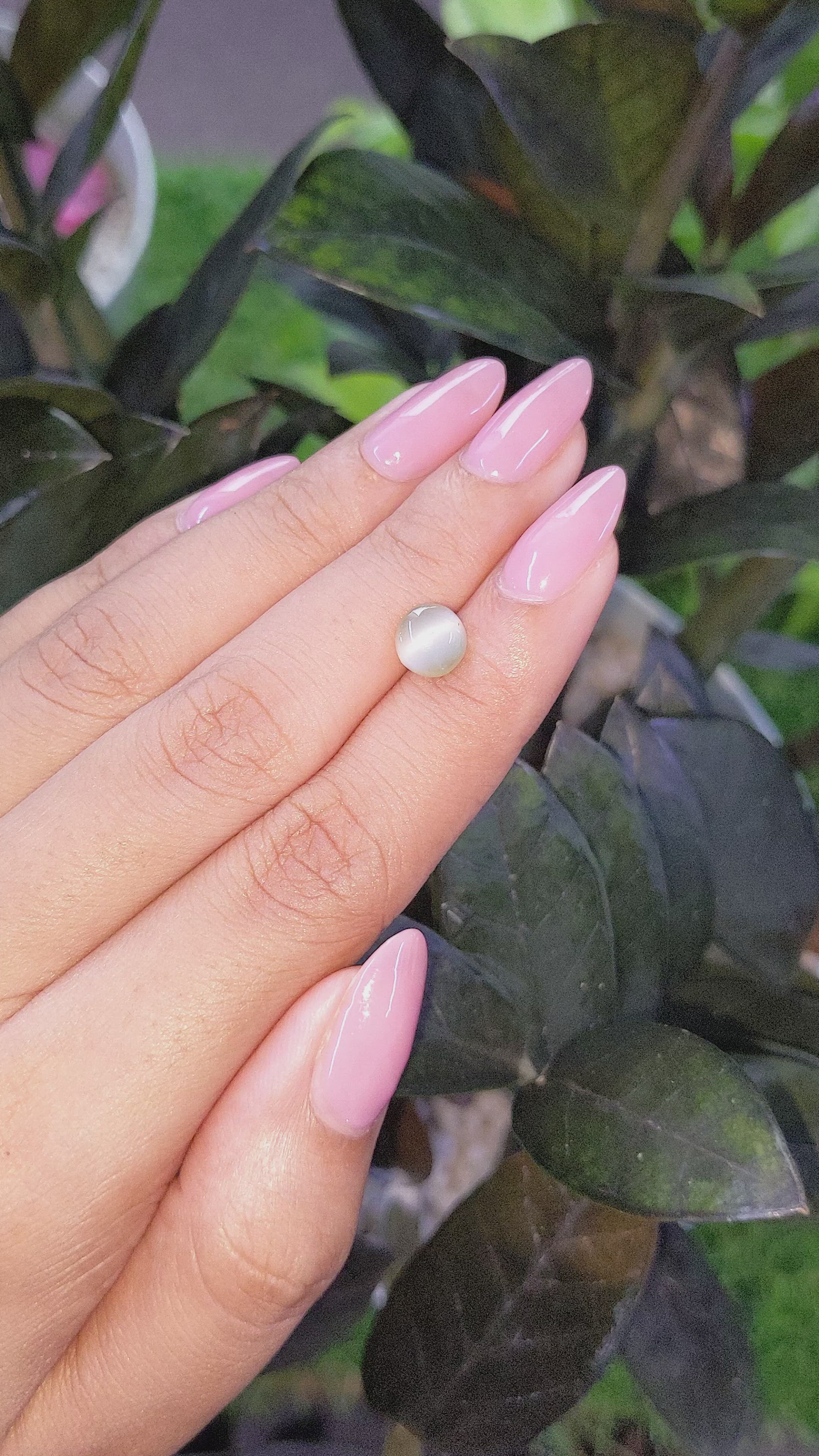 1.73 Ct. Cabochon Chrysoberyl from Ceylon (Sri Lanka) Size Video