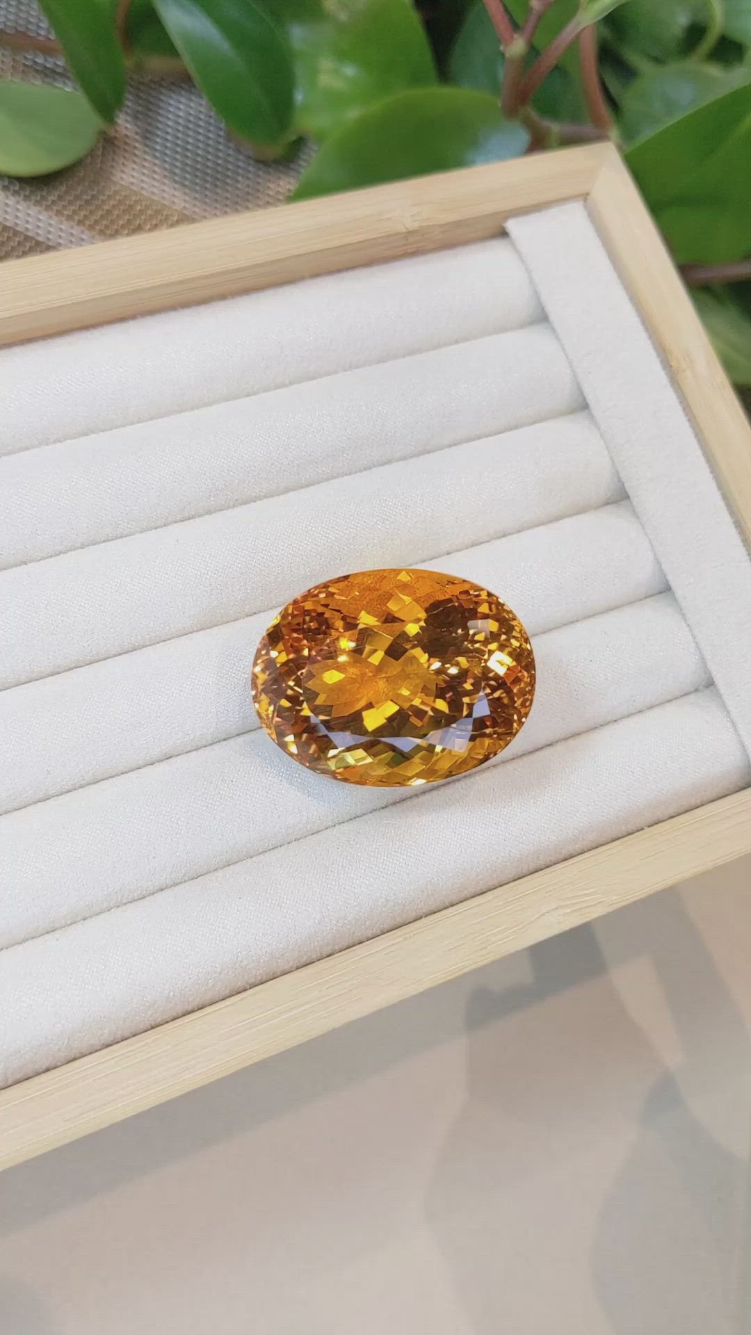 130.69 Ct. Citrine from South Africa Size Video