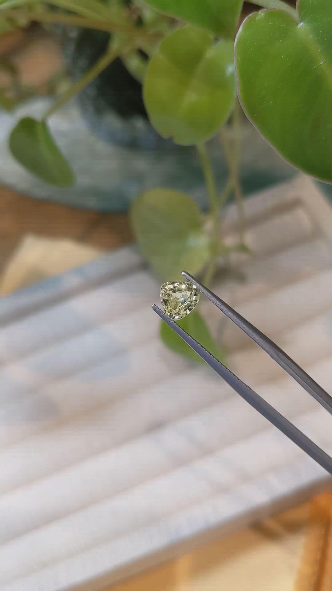 0.98 Ct. Mali Garnet from West Africa Size Video