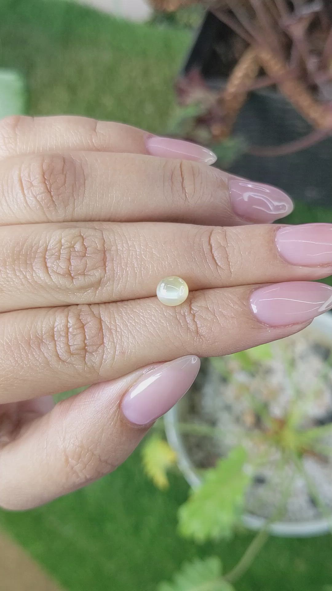 1.46 Ct. Cabochon Chrysoberyl from Ceylon (Sri Lanka) Size Video