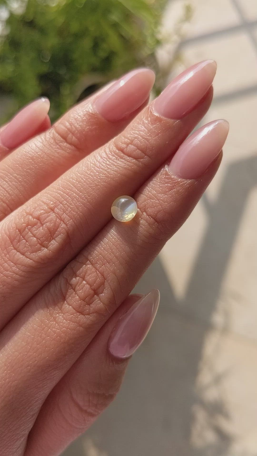 1.46 Ct. Cabochon Chrysoberyl from Ceylon (Sri Lanka) Size Video