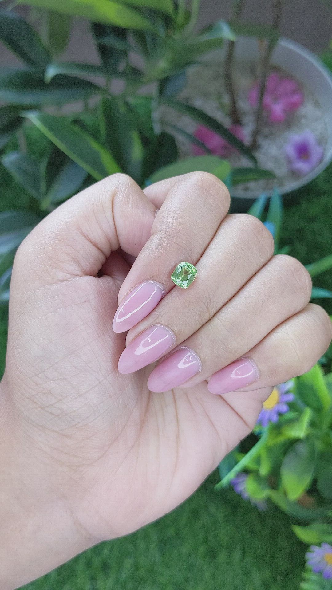 1.20 Ct. Garnet from Tanzania Size Video