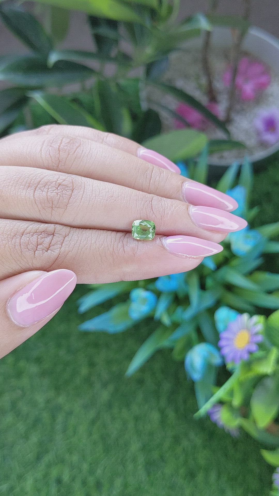 1.20 Ct. Garnet from Tanzania Size Video