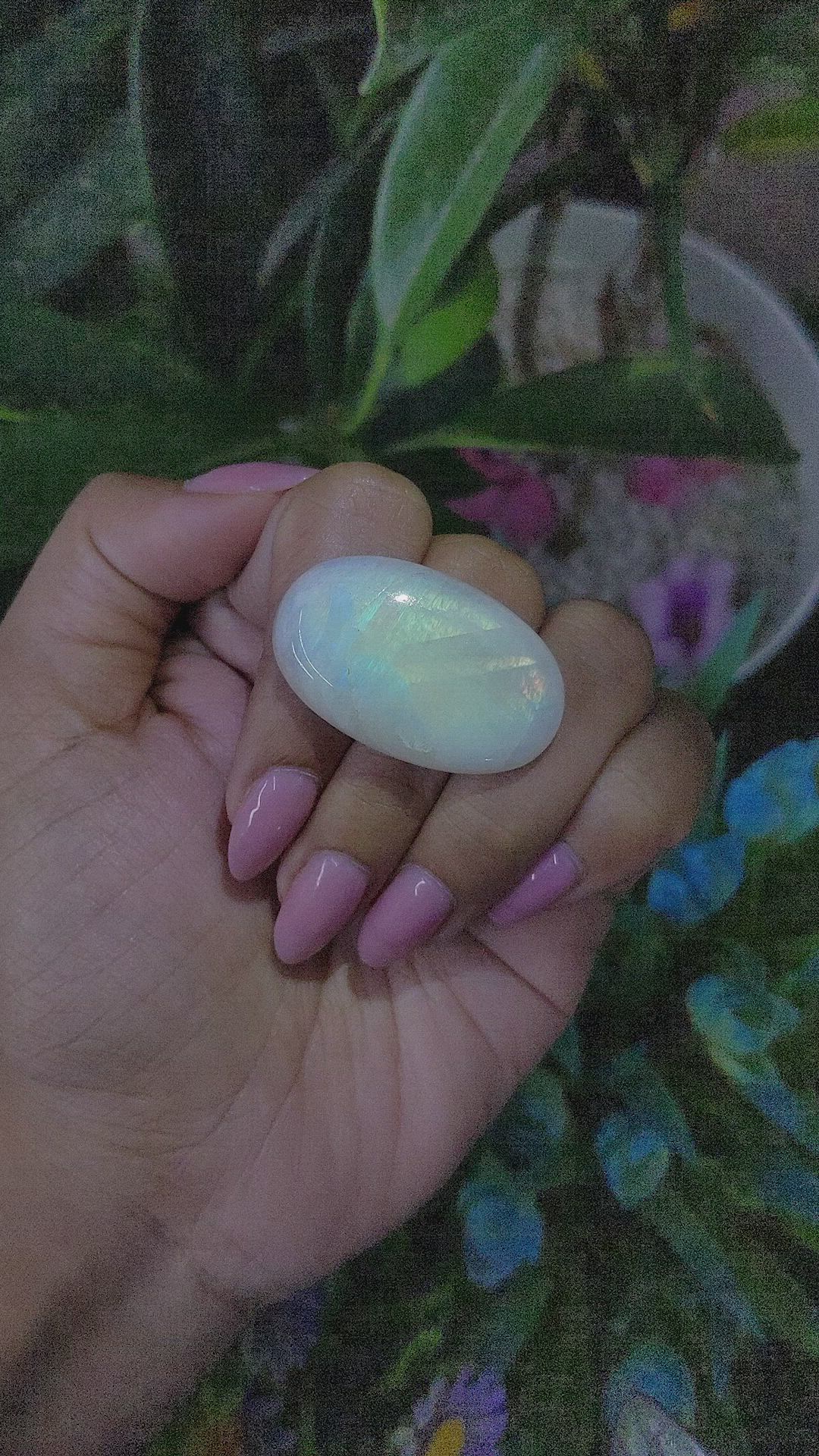 51.38 Ct. Multi Color Cabochon White Opal from Ethiopia Size Video