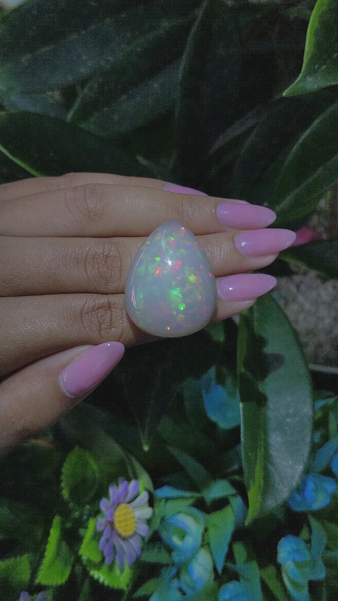 48.45 Ct. Multi Color Cabochon Jelly Opal from Ethiopia Size Video