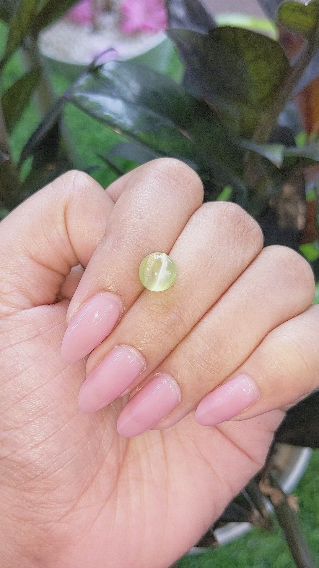 3.01 Ct. Yellowish Green Cabochon Chrysoberyl from Ceylon (Sri Lanka) Size Video