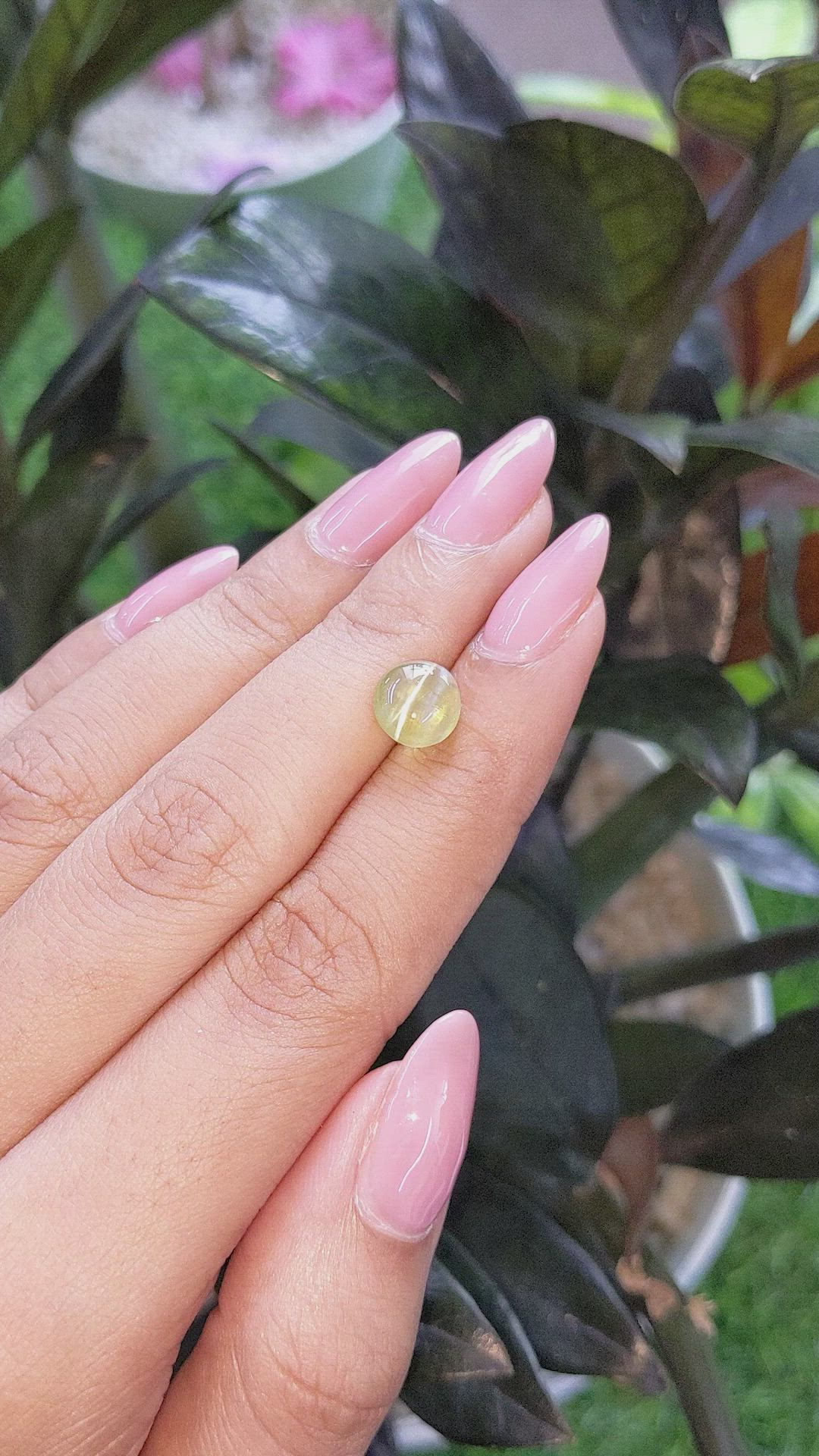 3.01 Ct. Yellowish Green Cabochon Chrysoberyl from Ceylon (Sri Lanka) Size Video