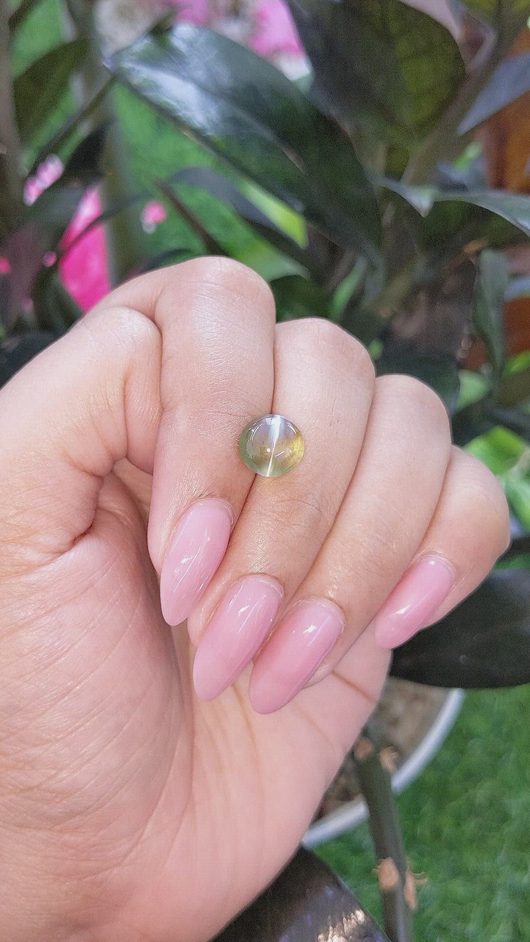 4.01 Ct. Yellowish Green Cabochon Chrysoberyl from Ceylon (Sri Lanka) Size Video