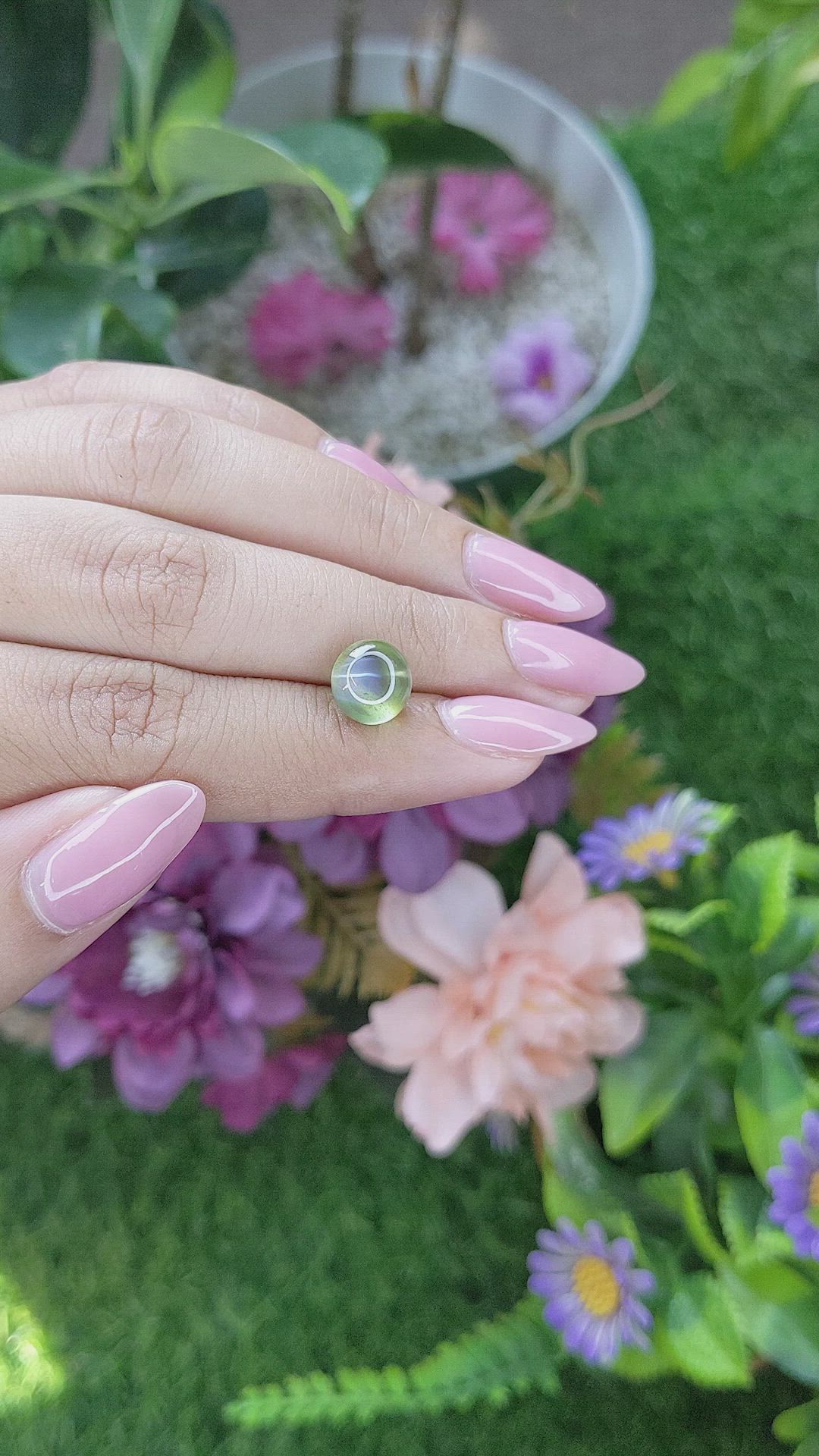 4.01 Ct. Yellowish Green Cabochon Chrysoberyl from Ceylon (Sri Lanka) Size Video