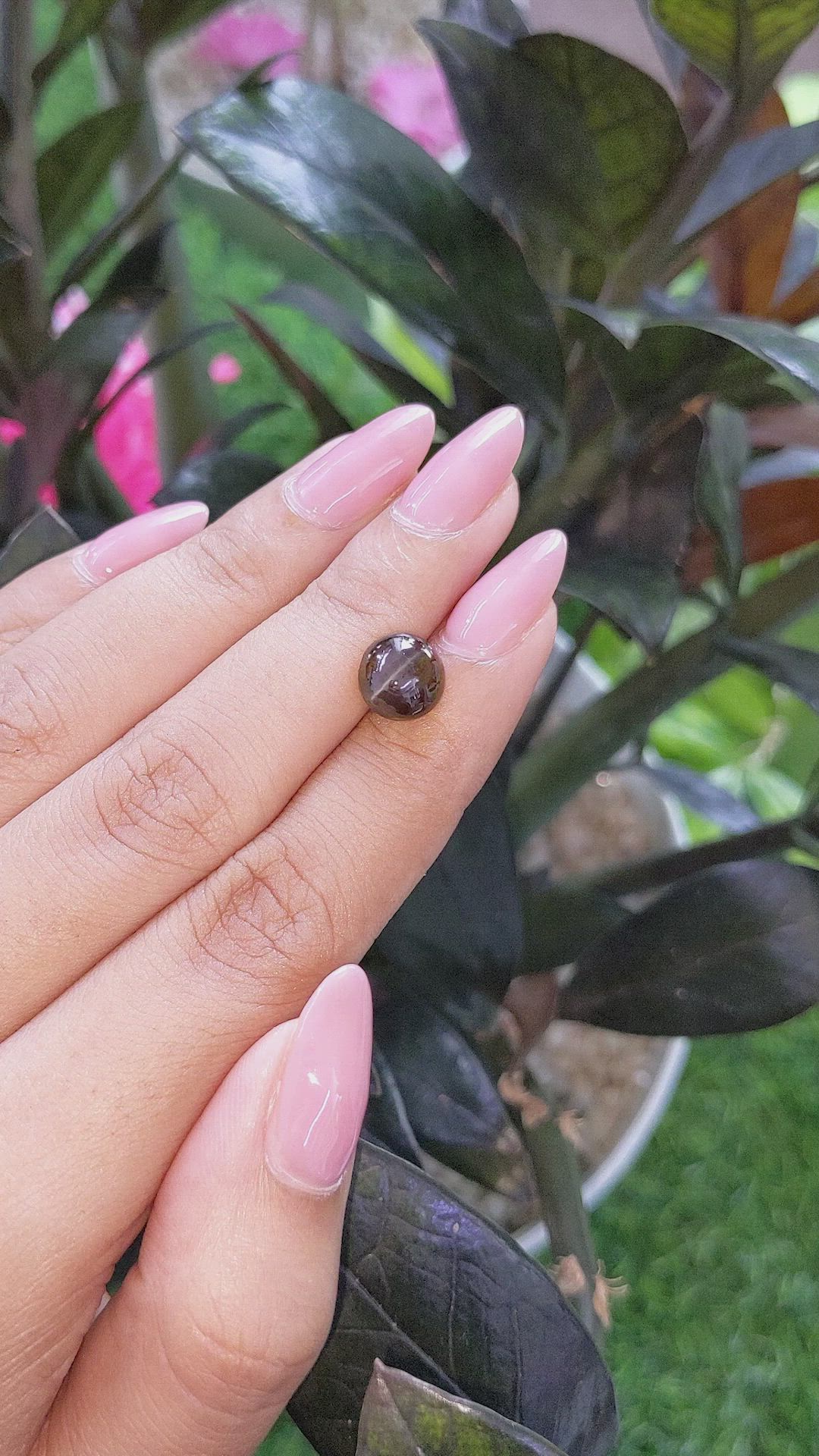 4.62 Ct. Brown Cabochon Chrysoberyl from Ceylon (Sri Lanka) Size Video